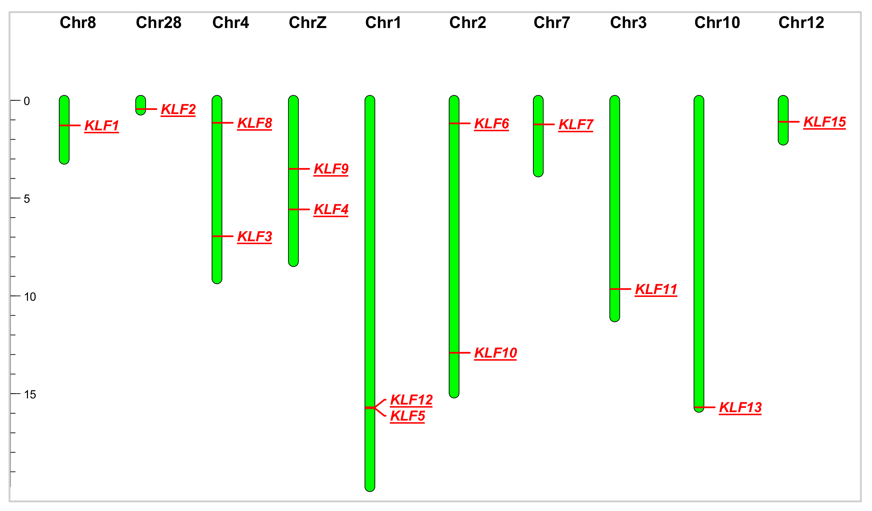 Animals 14 02594 g001 Animals 14 02594 g001