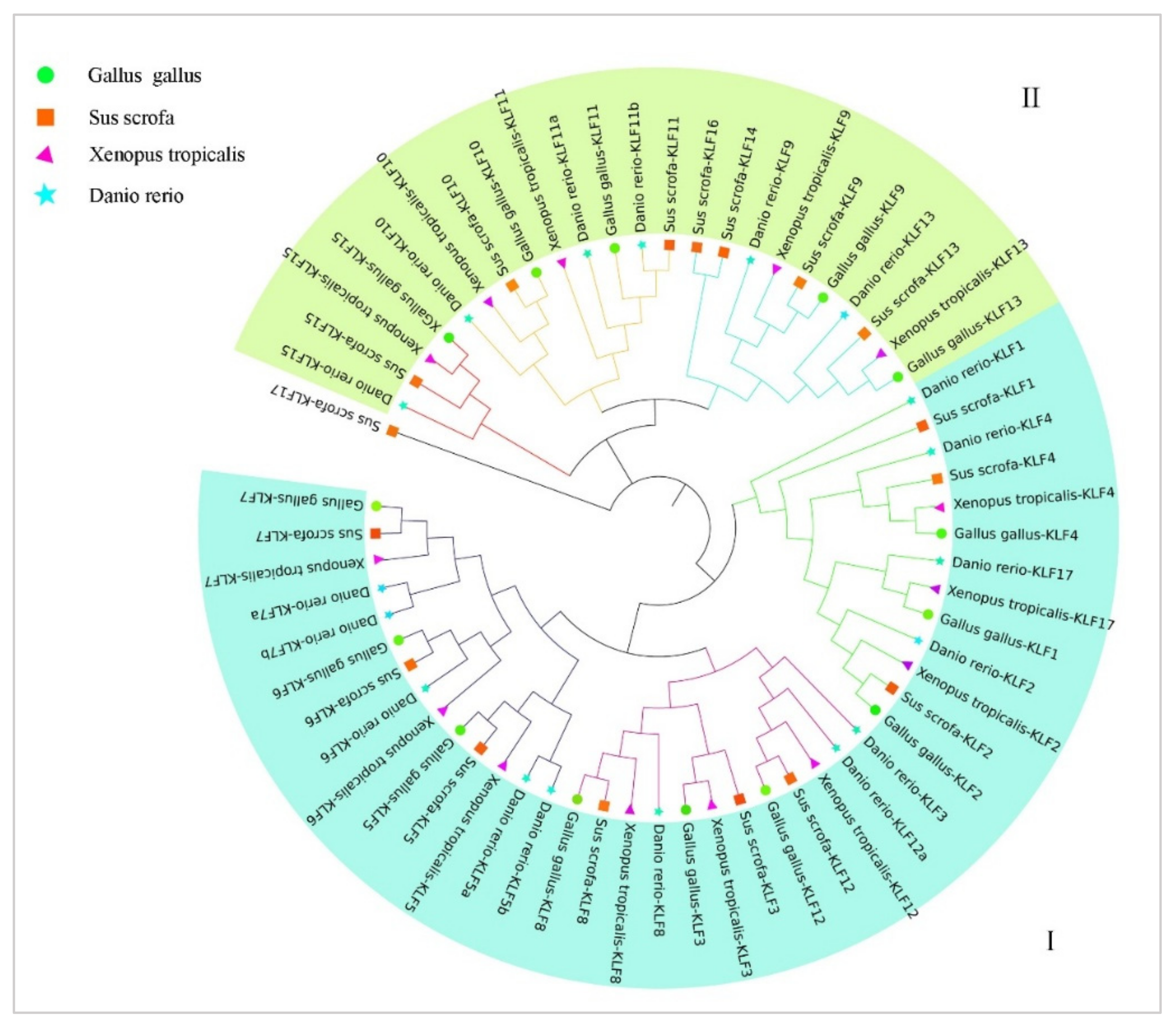 Animals 14 02594 g002 Animals 14 02594 g002