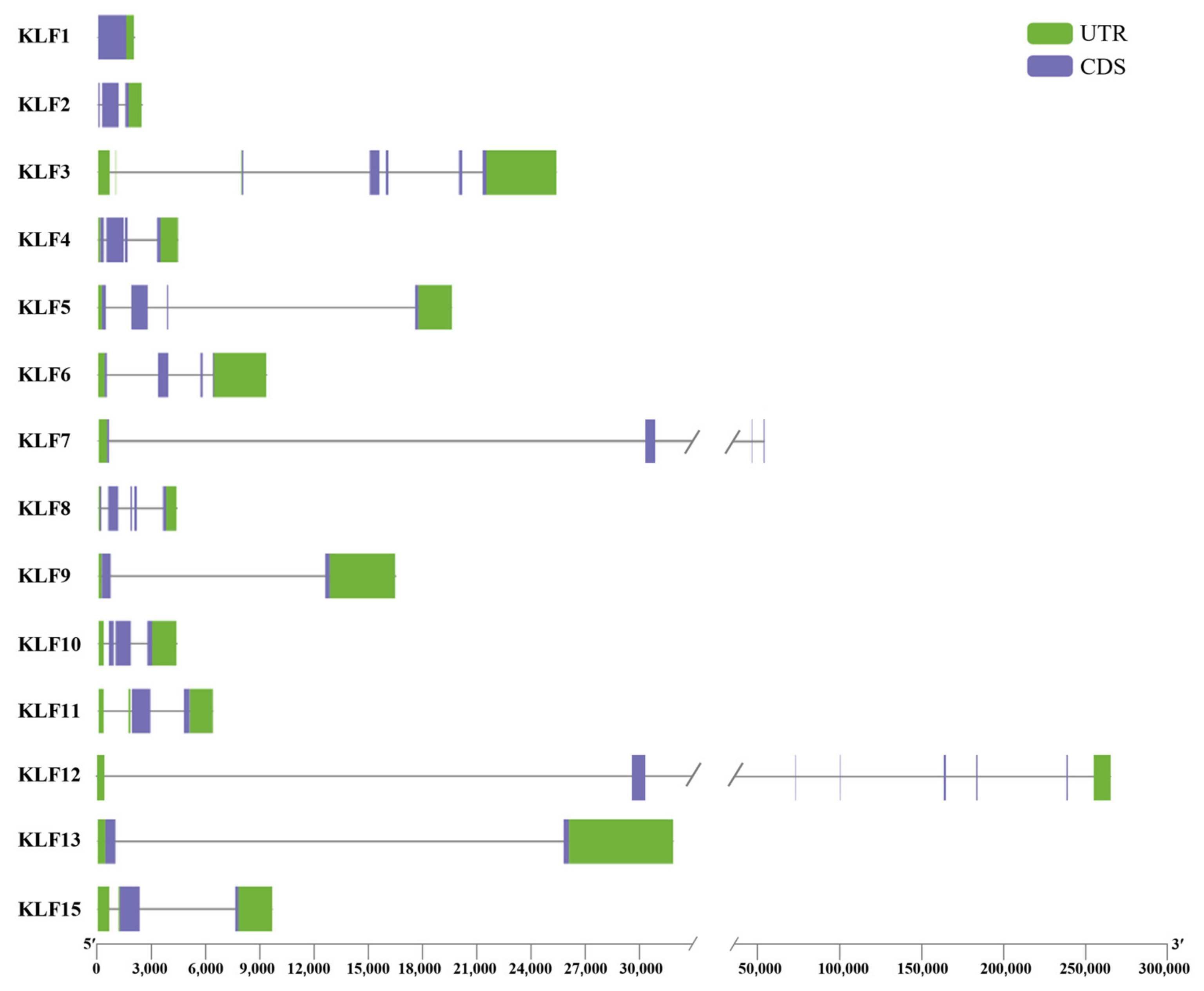 Animals 14 02594 g003 Animals 14 02594 g003