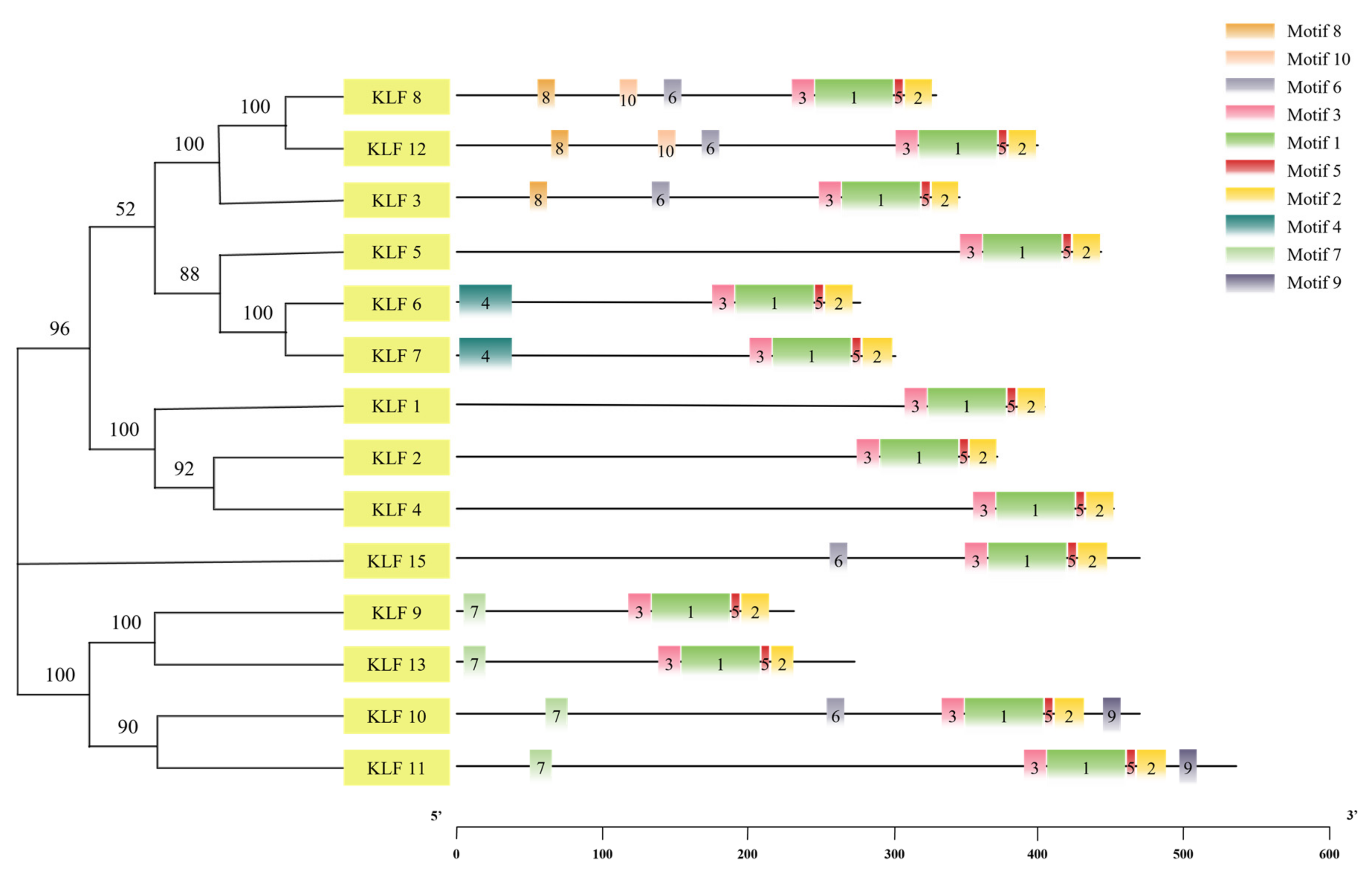 Animals 14 02594 g004 Animals 14 02594 g004
