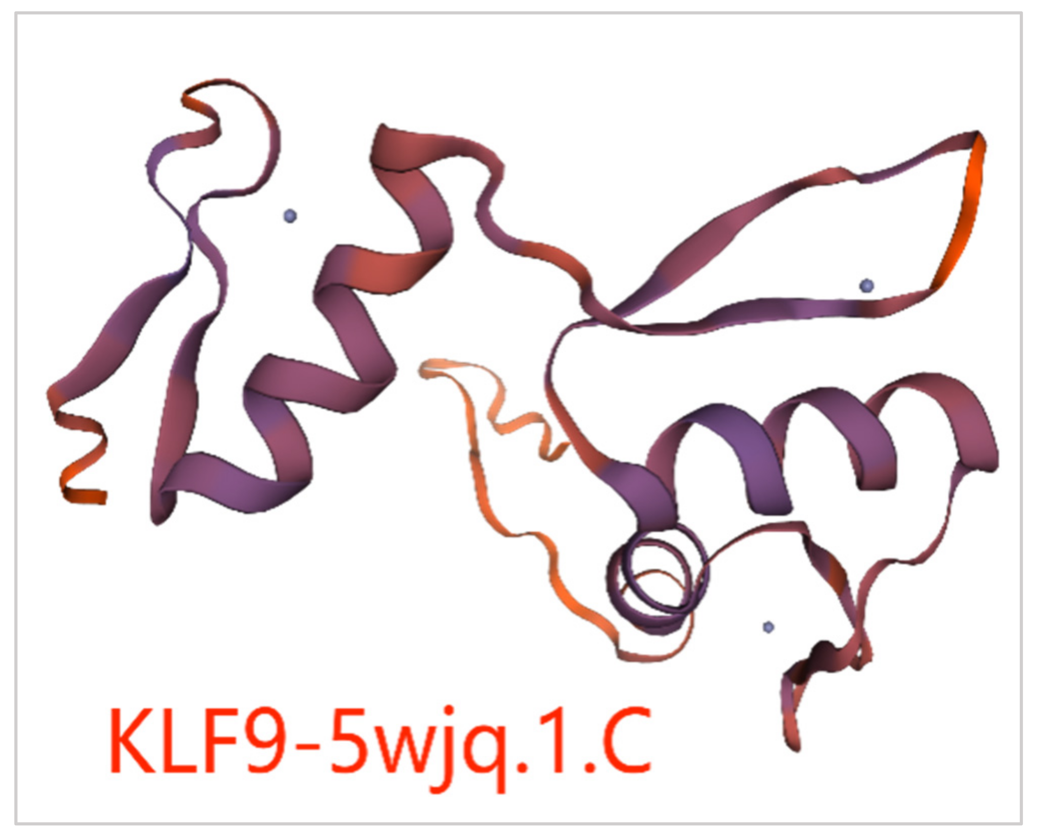 Animals 14 02594 g006 Animals 14 02594 g006