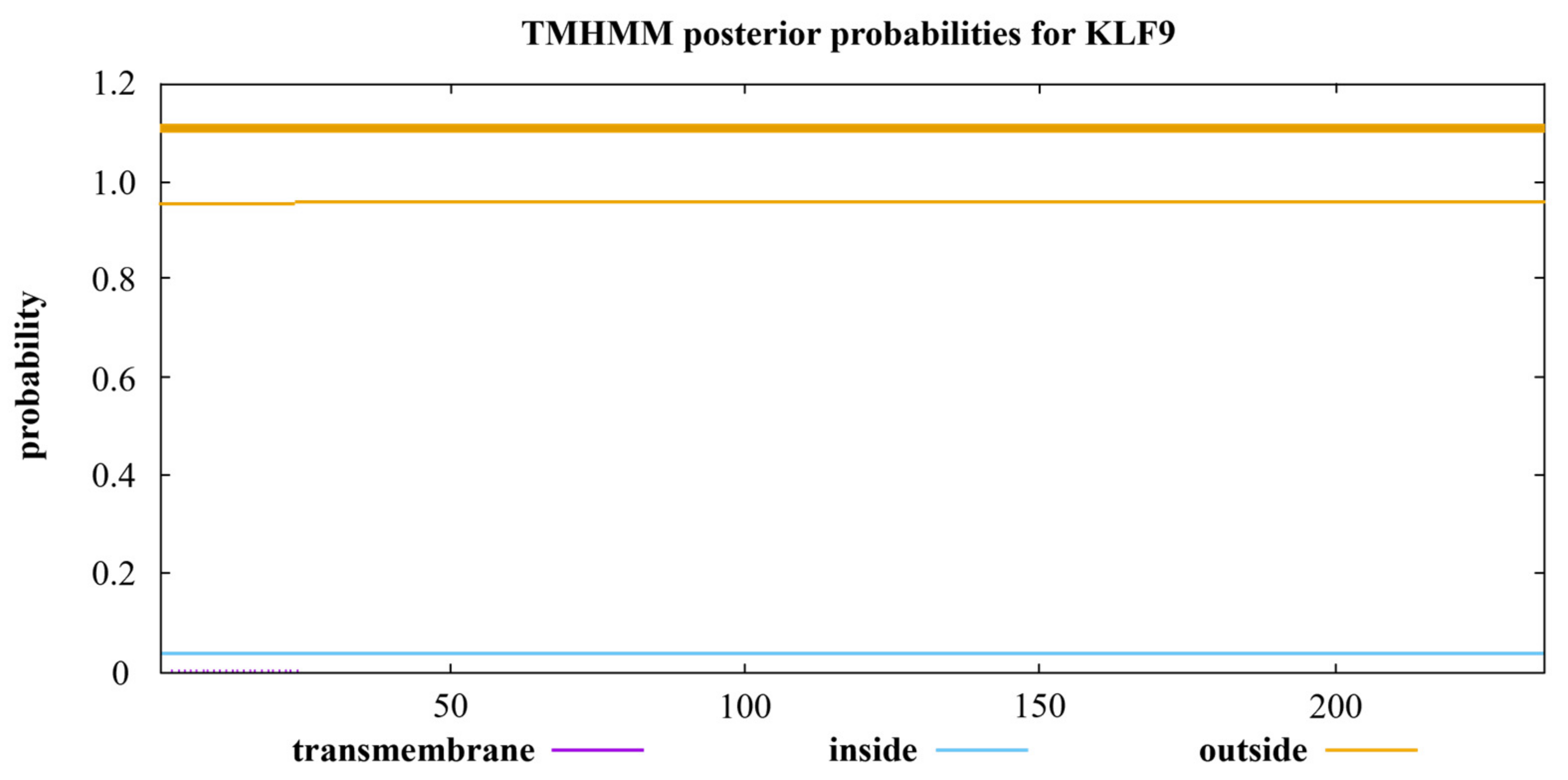 Animals 14 02594 g007 Animals 14 02594 g007