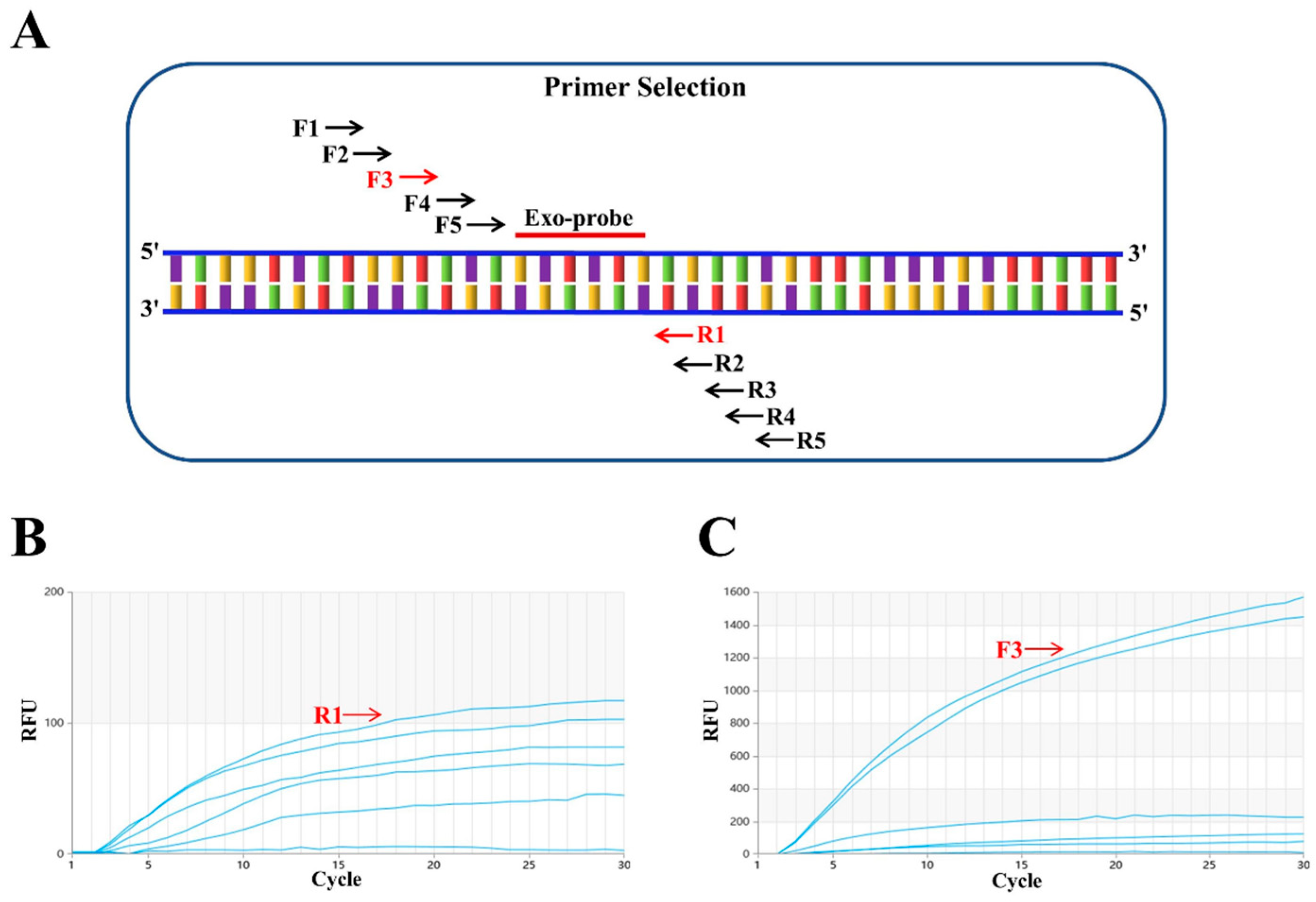 Animals 14 02601 g001