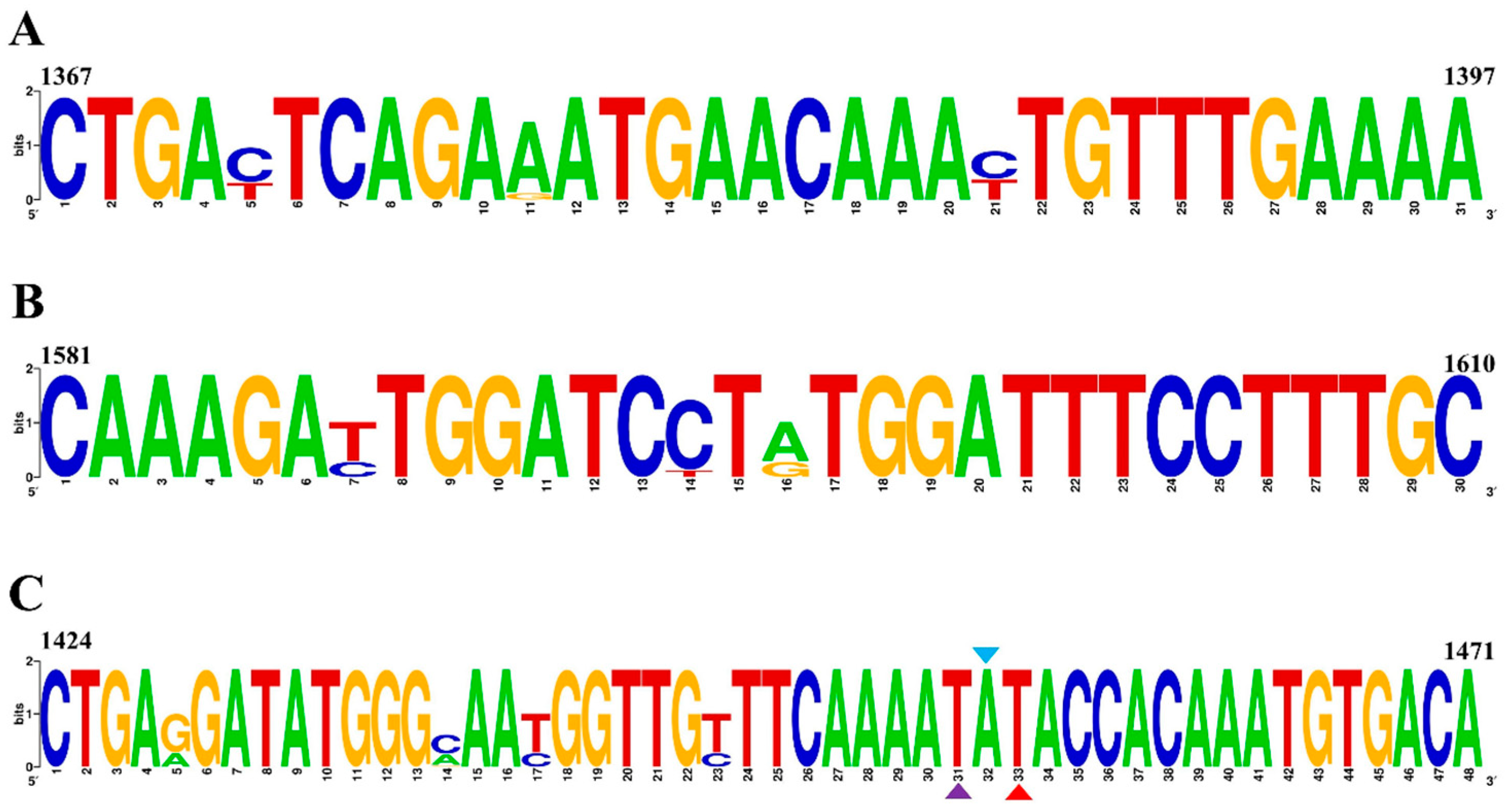 Animals 14 02601 g002