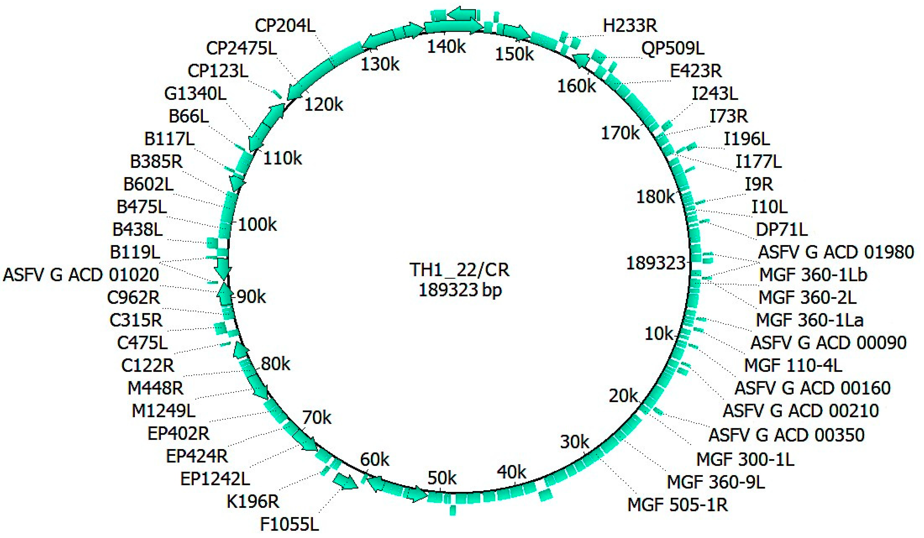 Animals 14 02602 g001