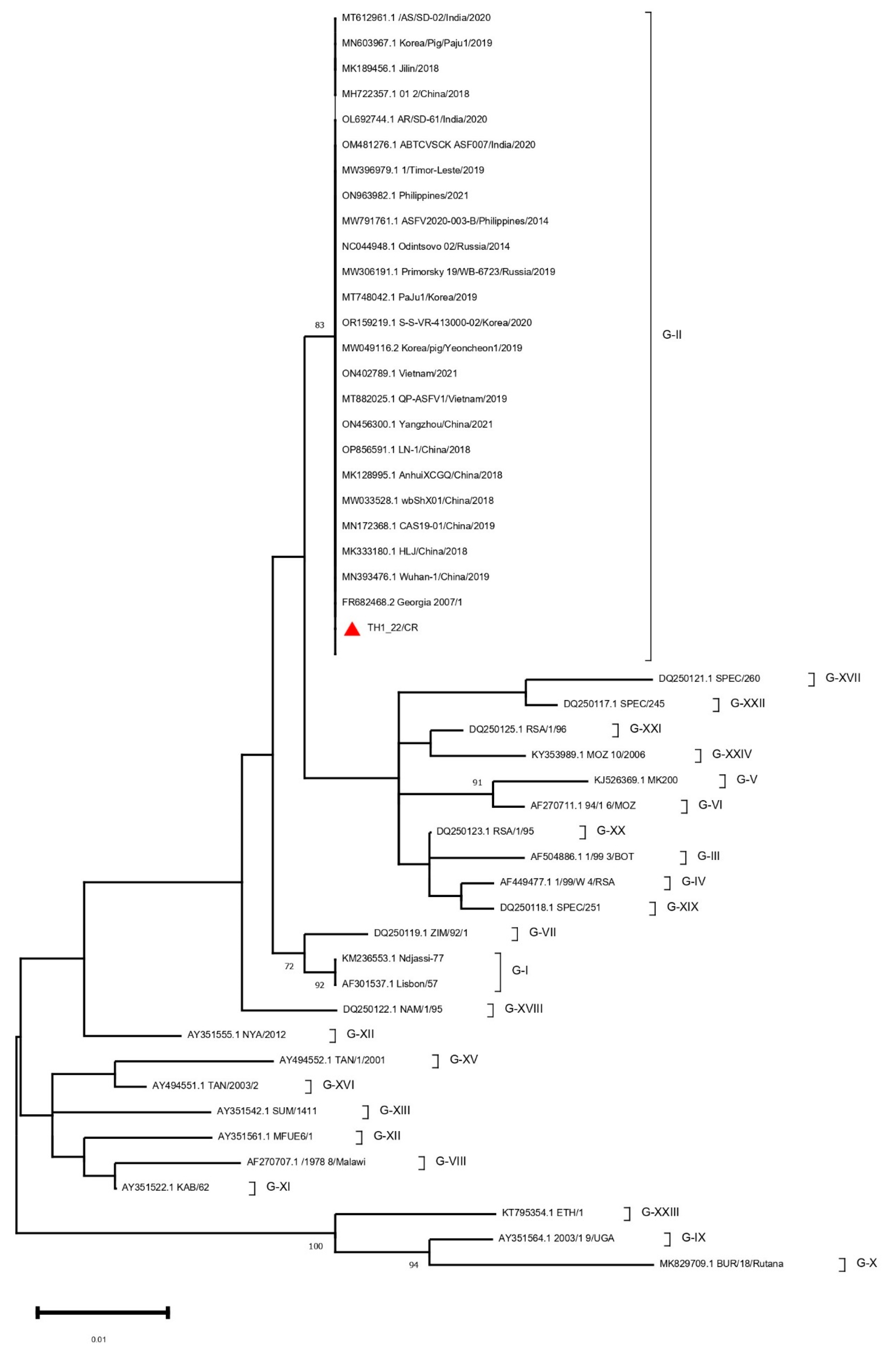 Animals 14 02602 g002