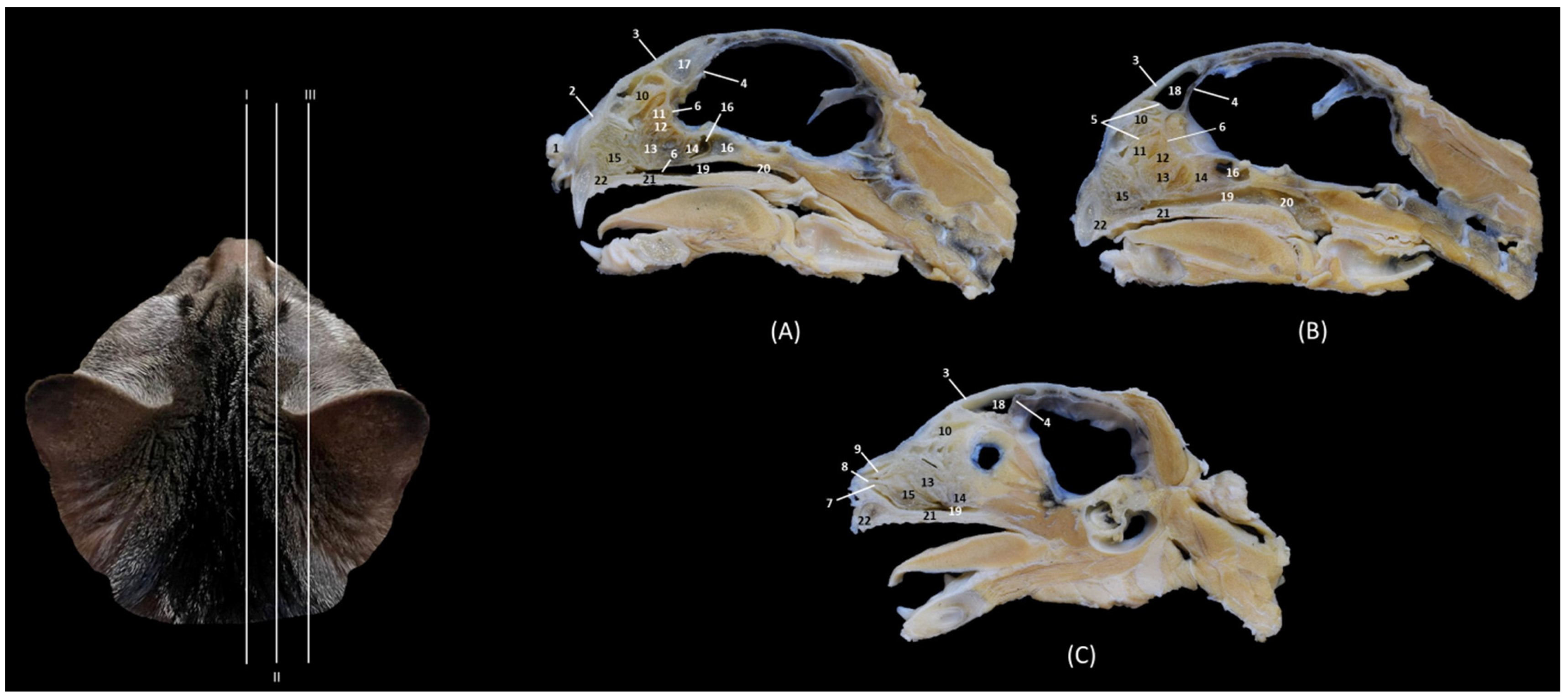 Animals 14 02609 g016