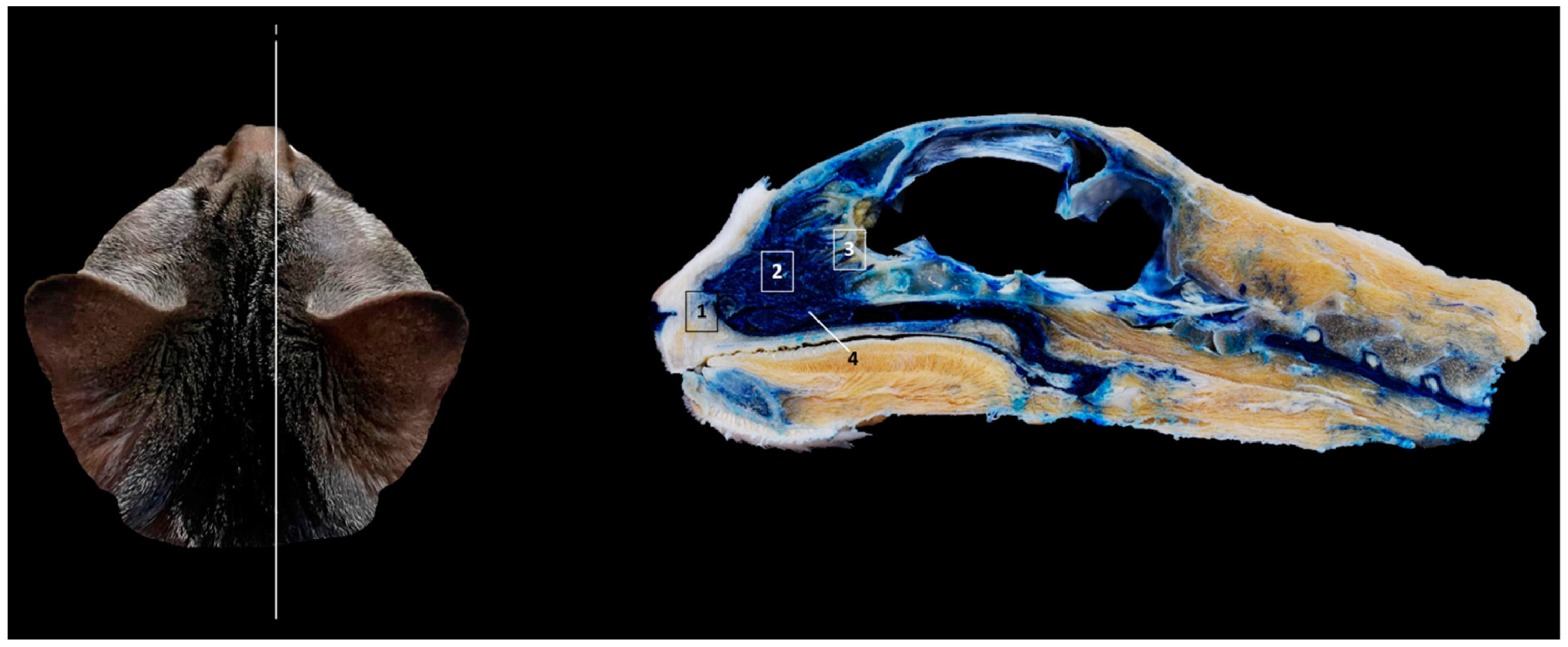 Animals 14 02609 g018