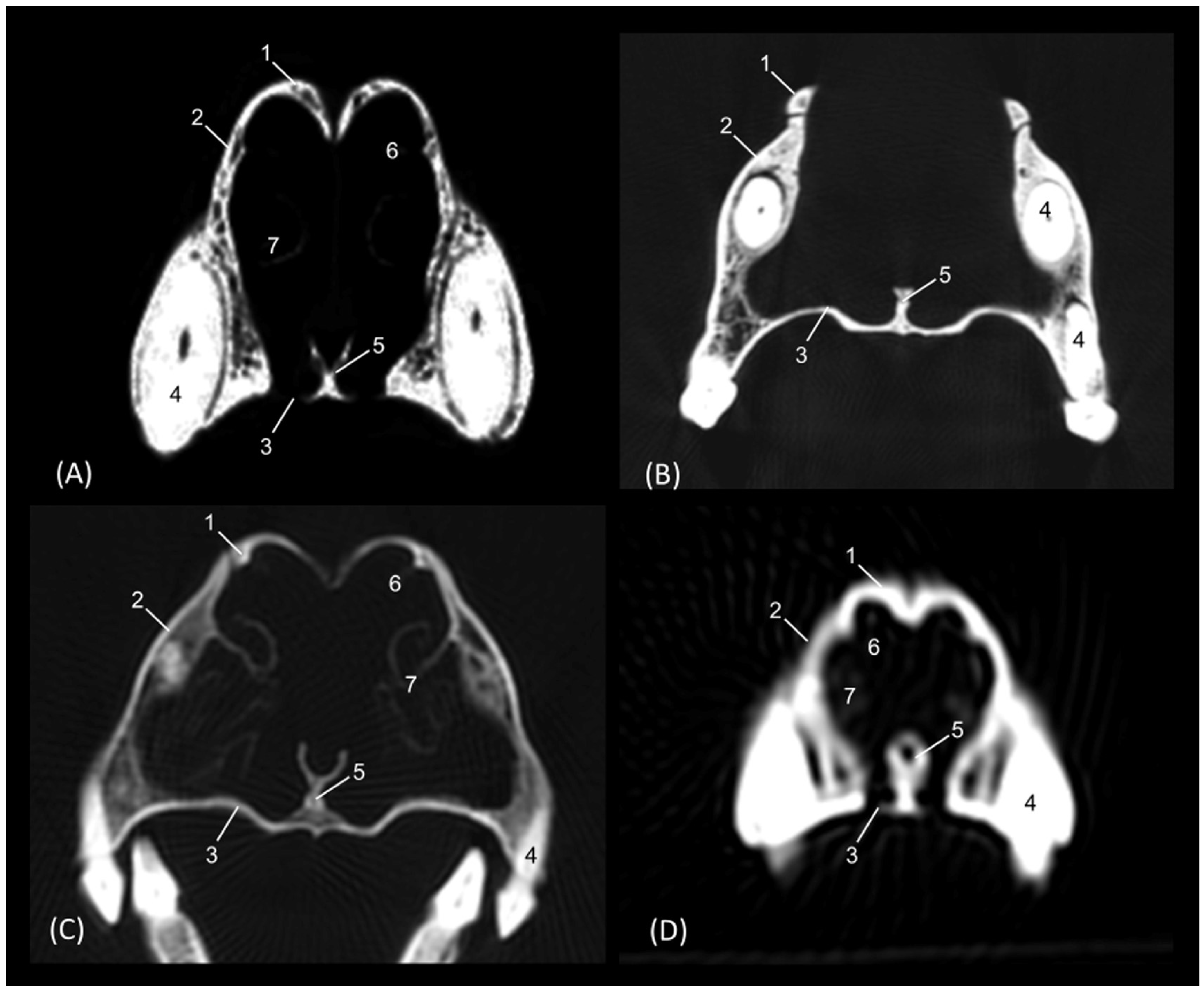 Animals 14 02609 g020