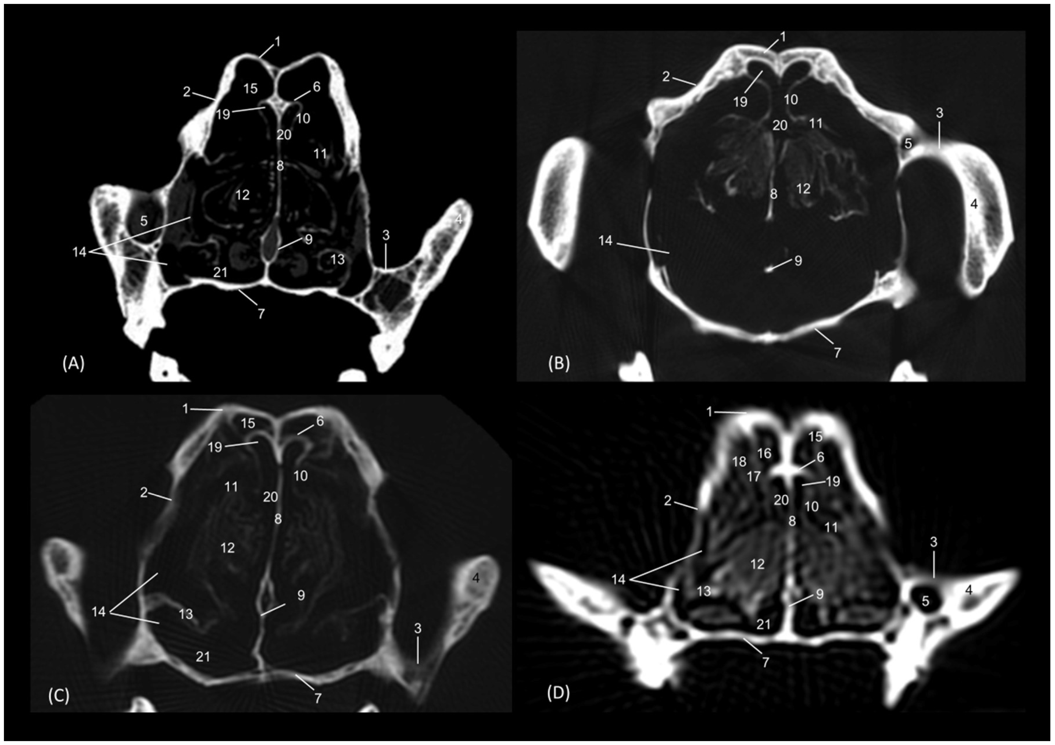 Animals 14 02609 g022