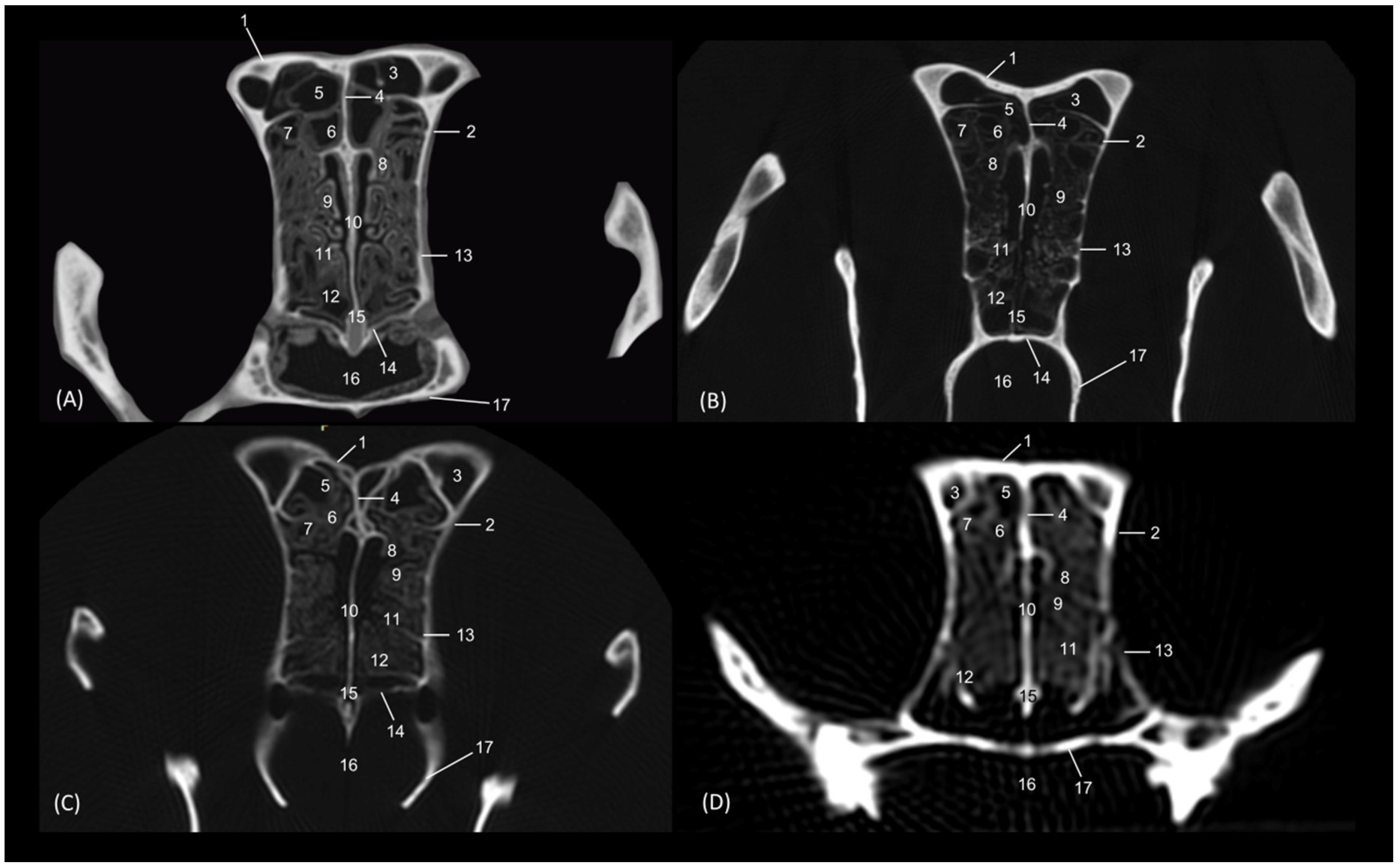 Animals 14 02609 g023