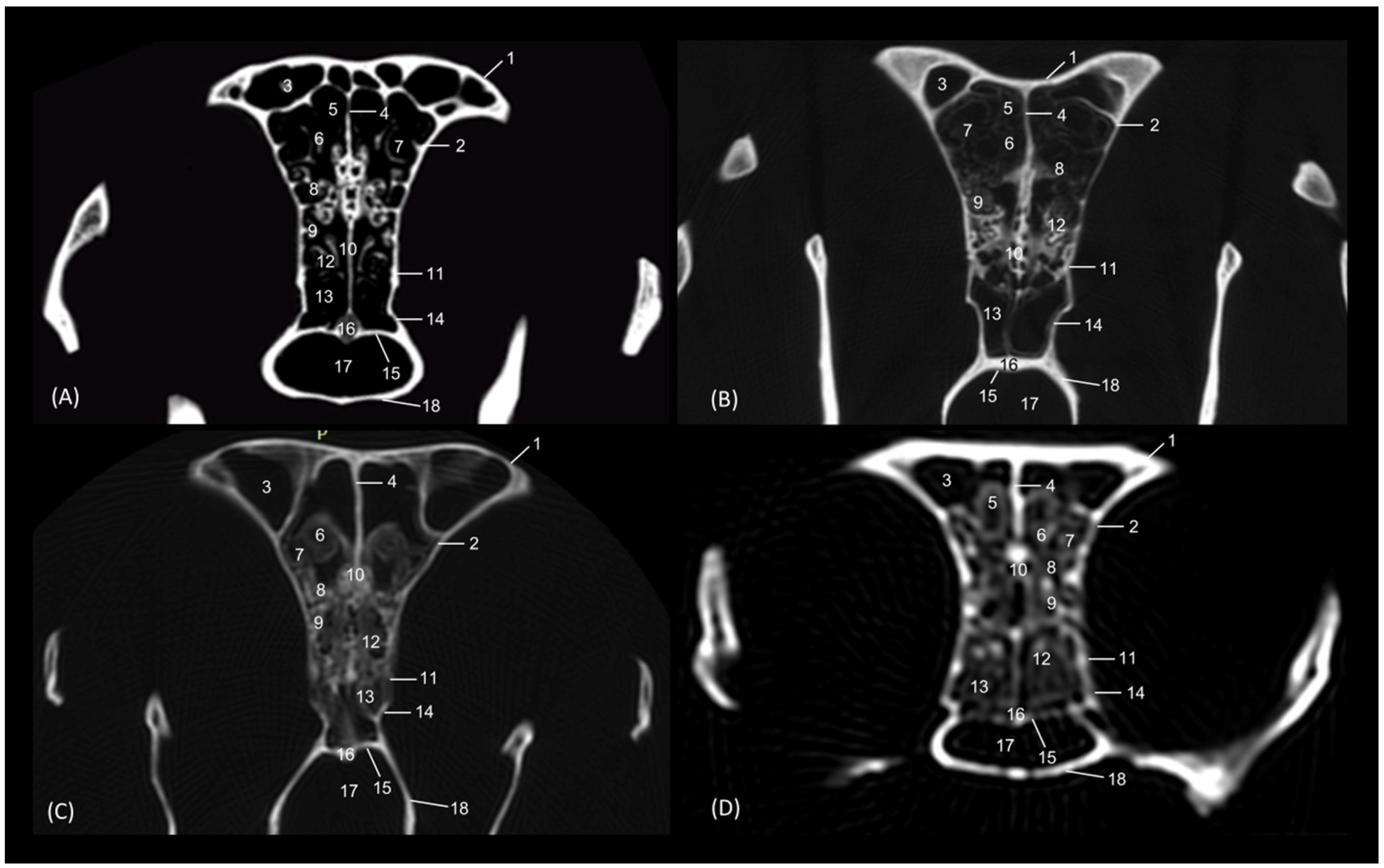 Animals 14 02609 g024