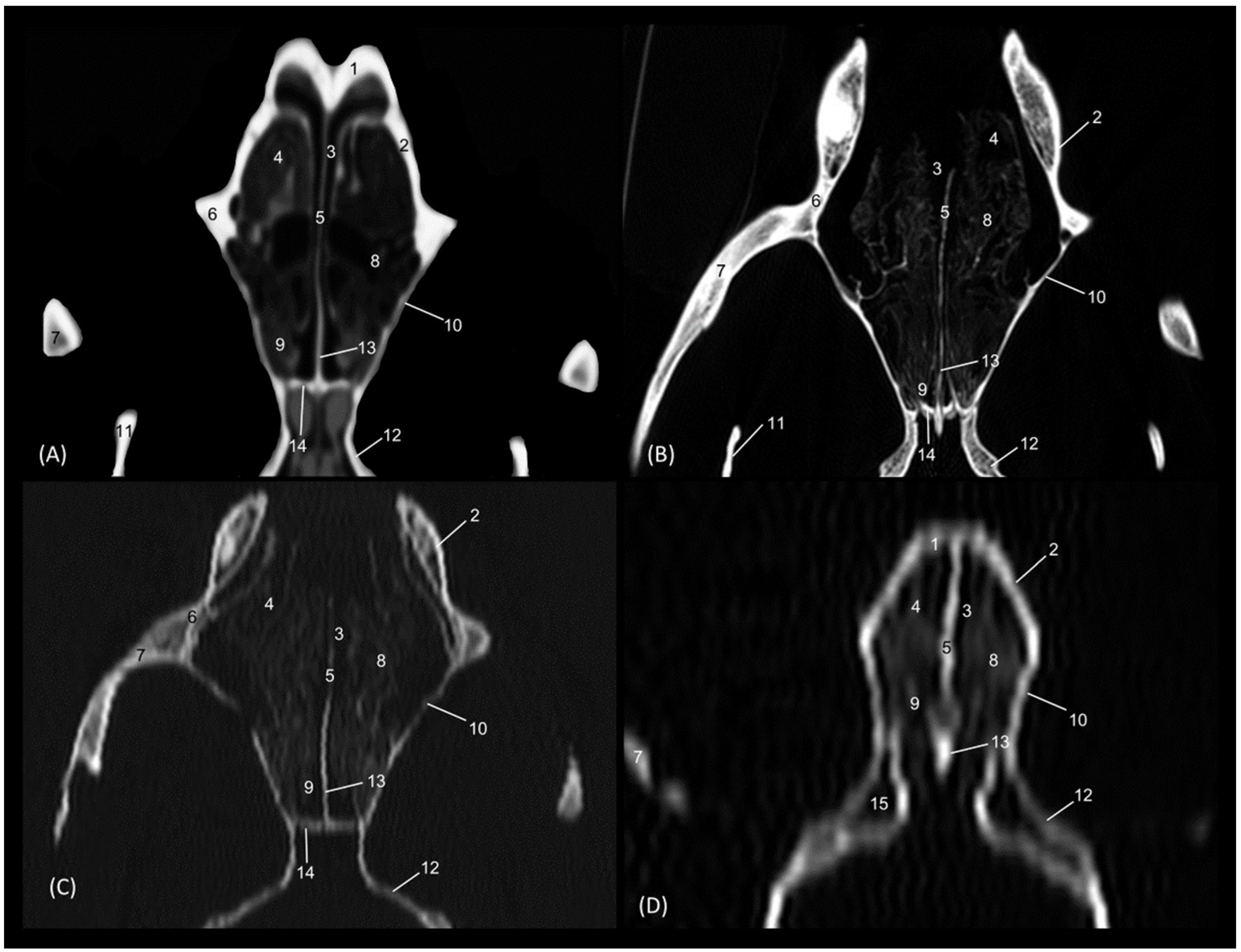 Animals 14 02609 g026