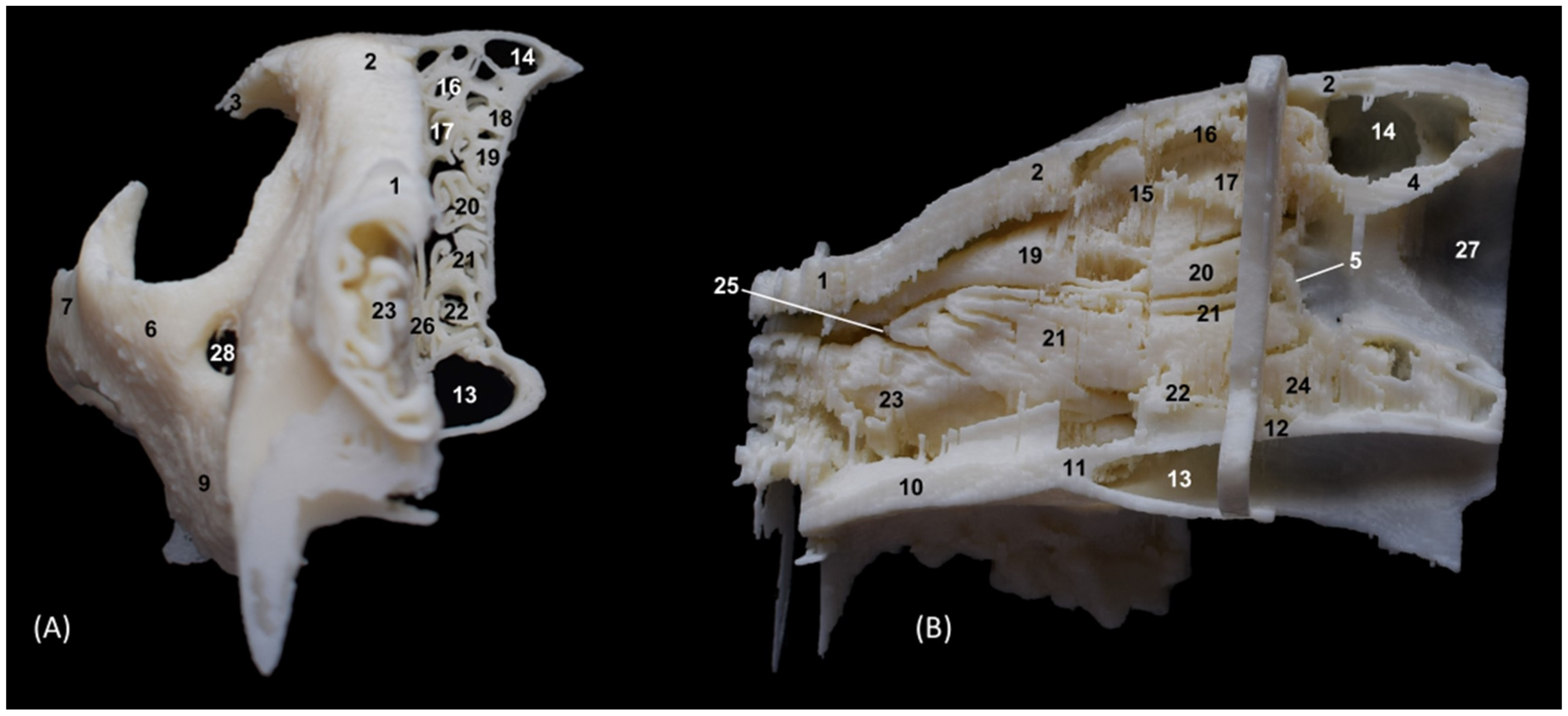 Animals 14 02609 g035