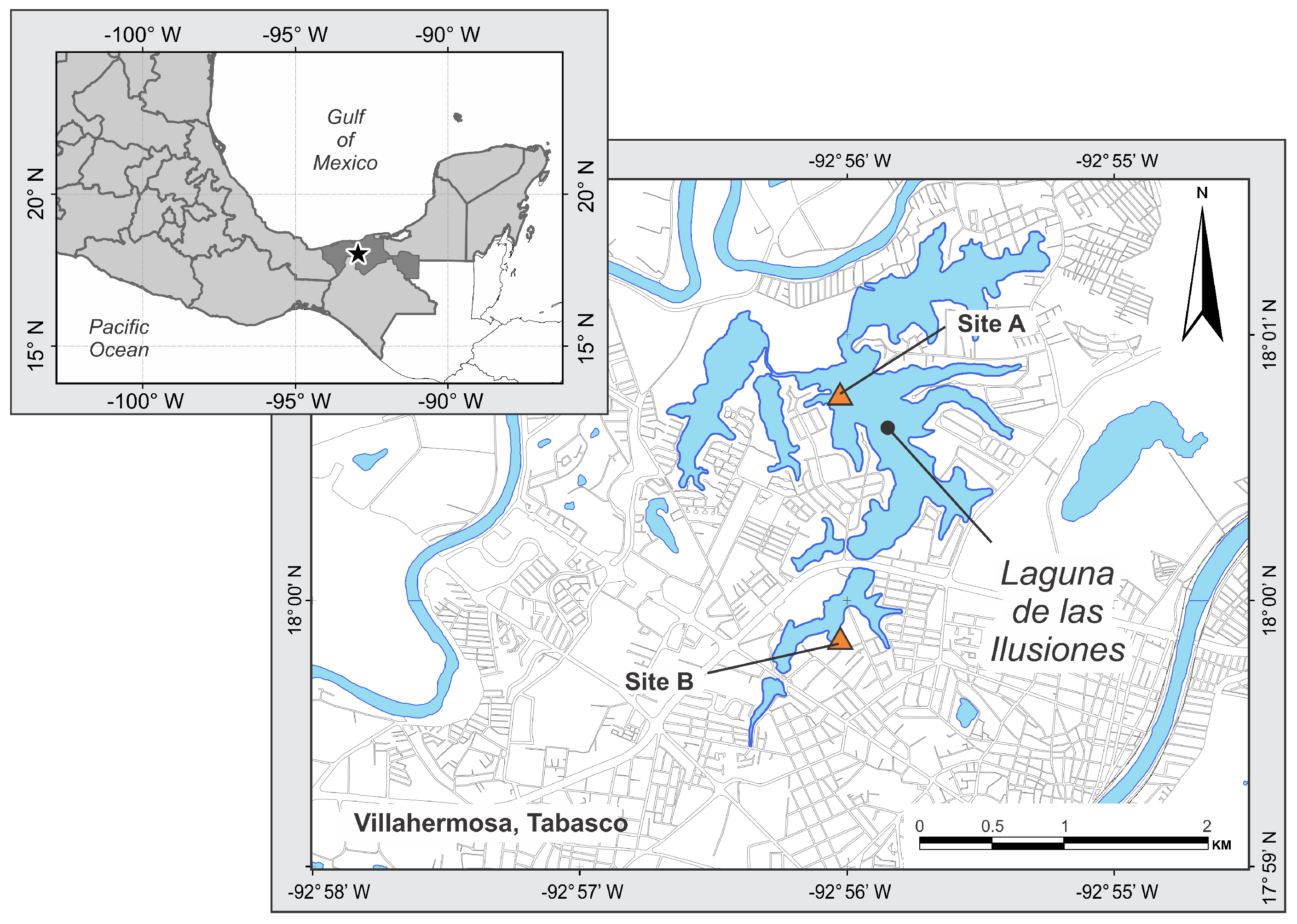 Animals 14 02610 g001