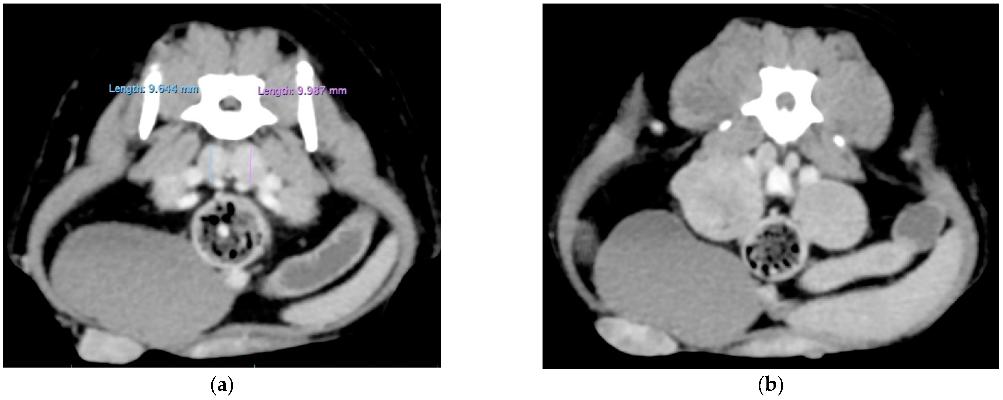 Animals 14 02618 g002a