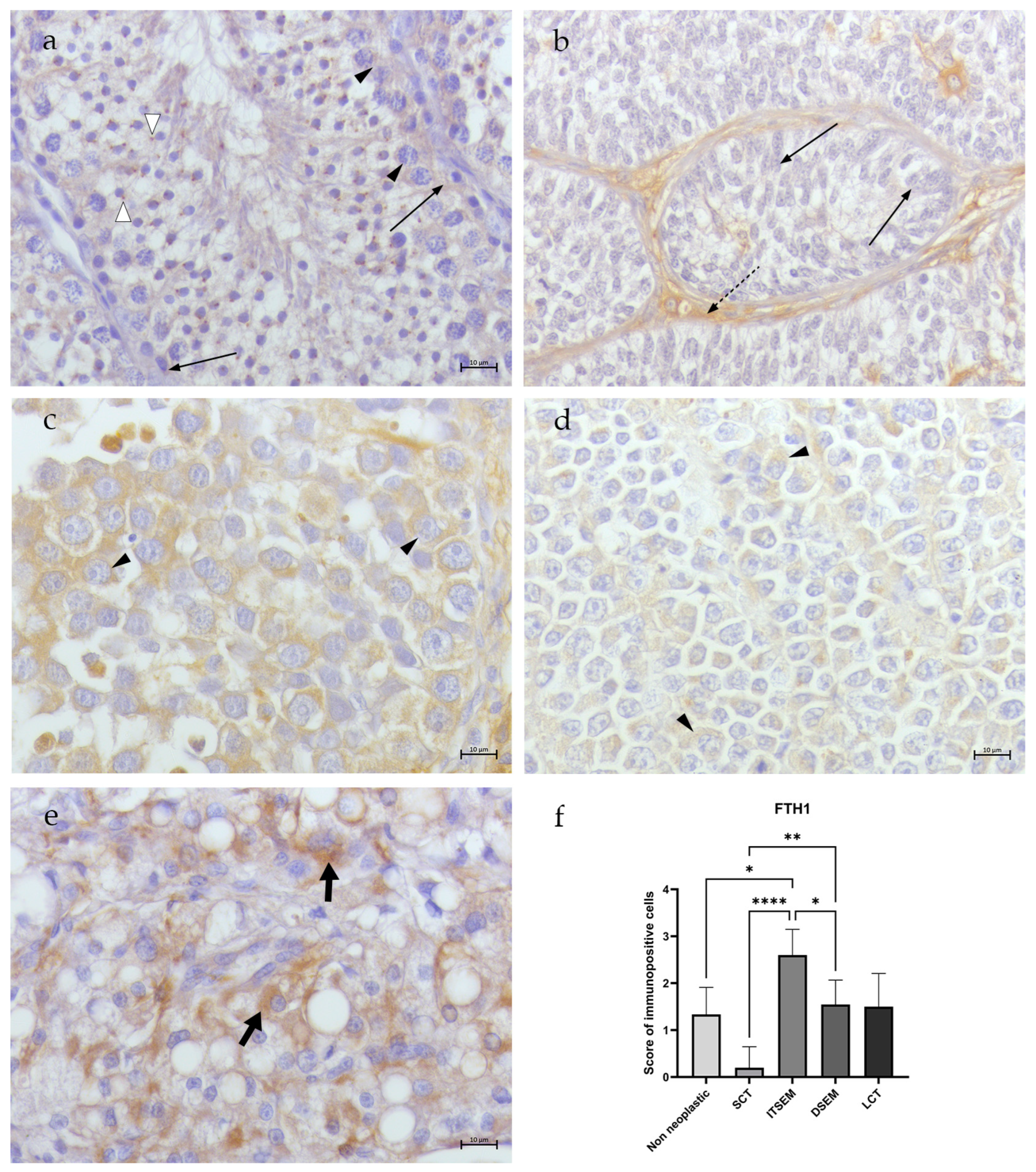 Animals 14 02619 g005