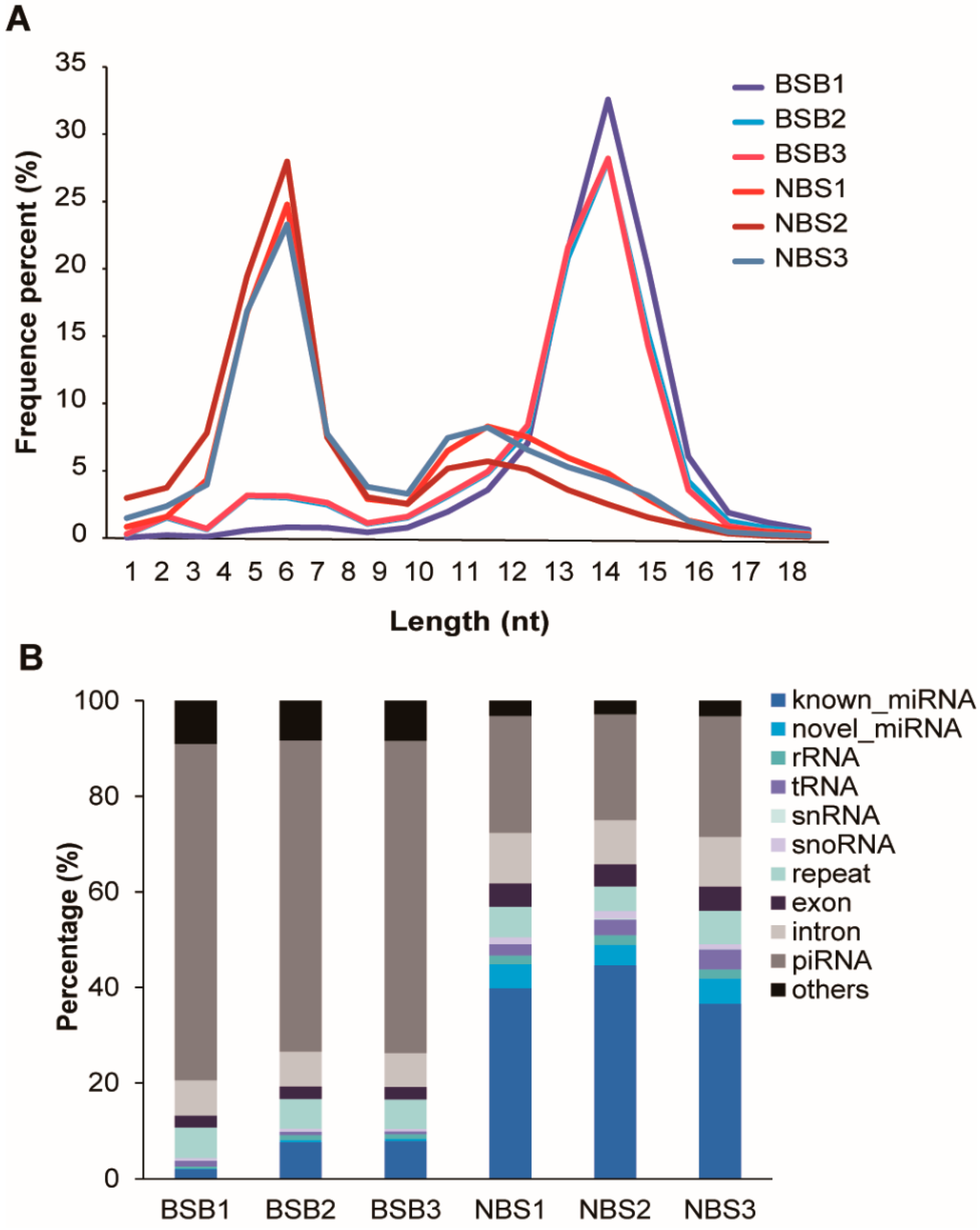 Animals 14 02620 g001