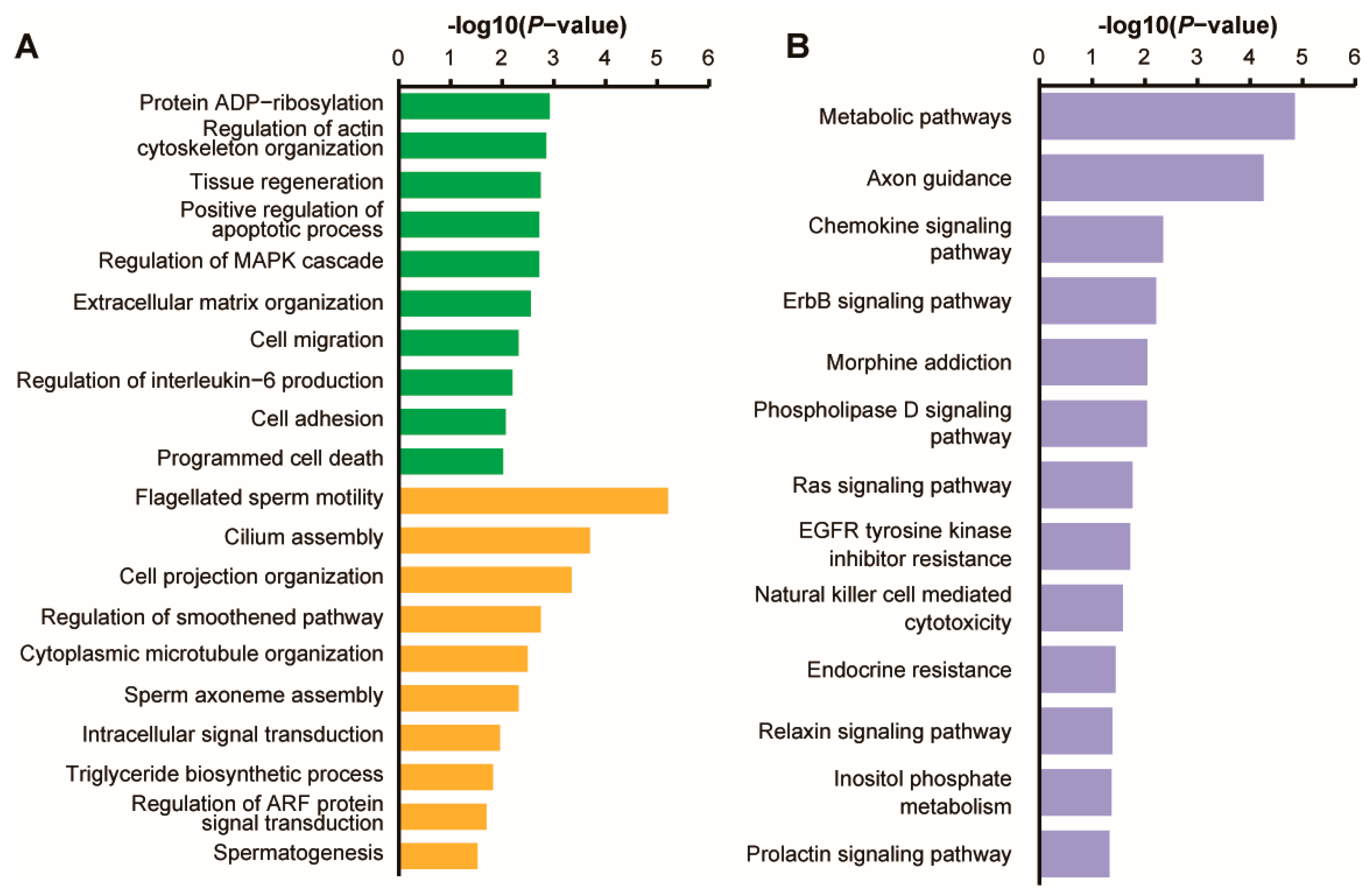 Animals 14 02620 g004