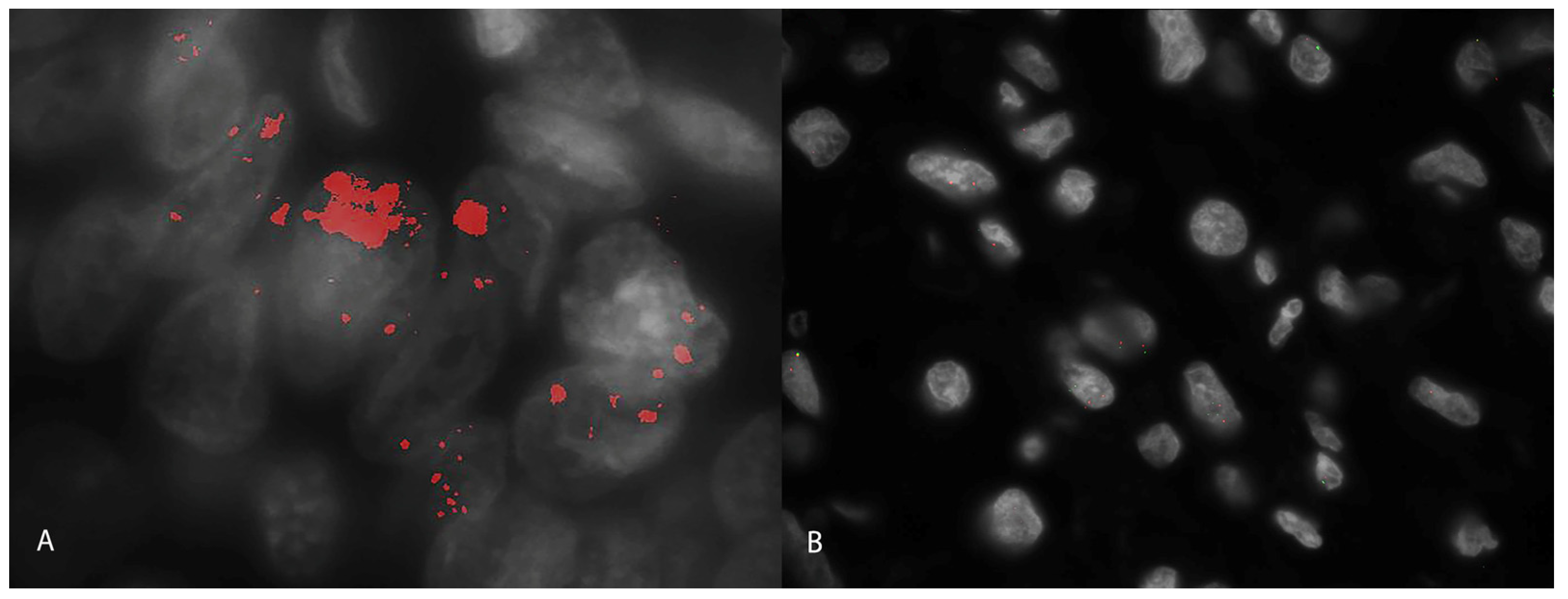 Animals 14 02625 g003