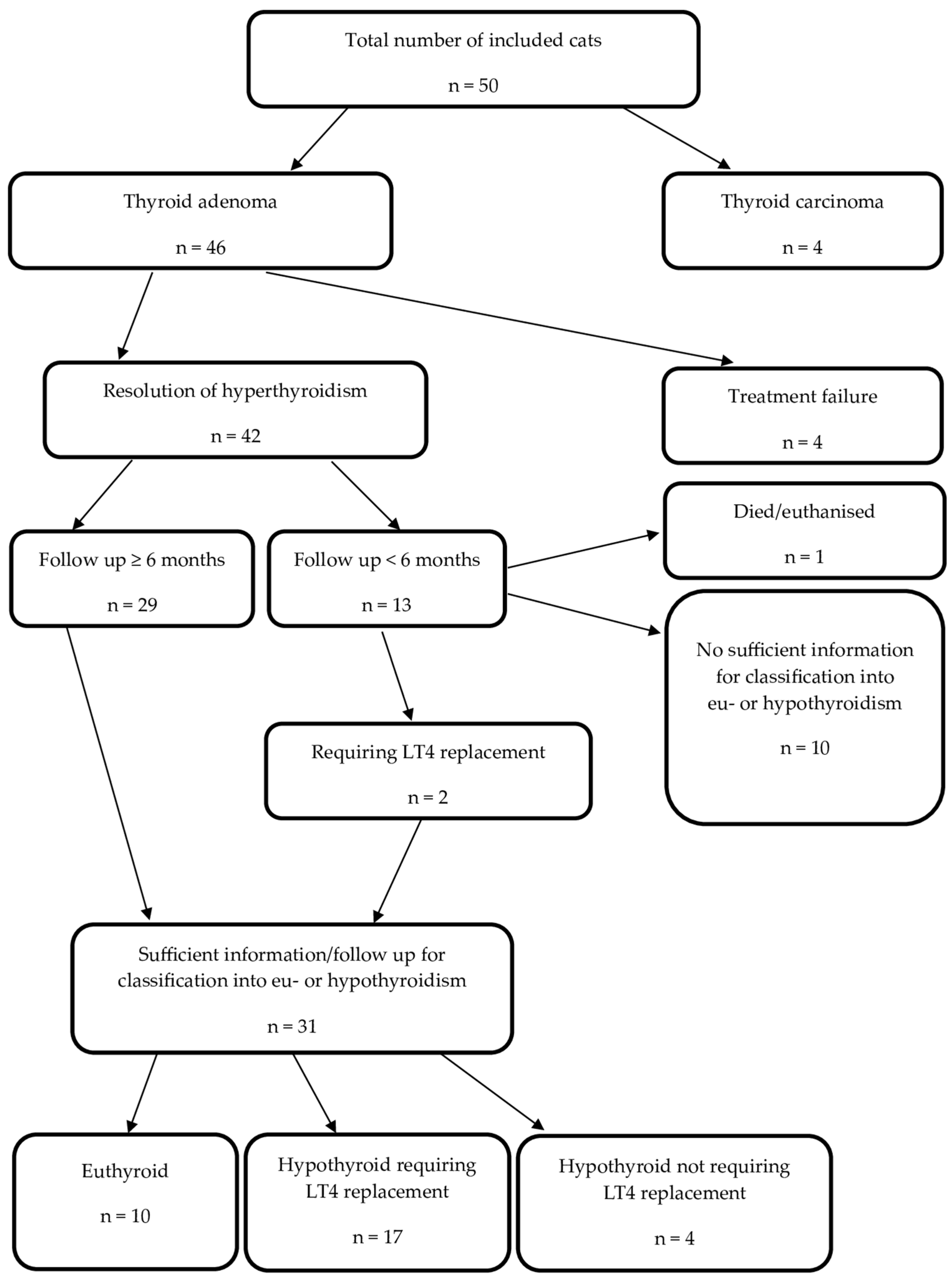 Animals 14 02627 g001