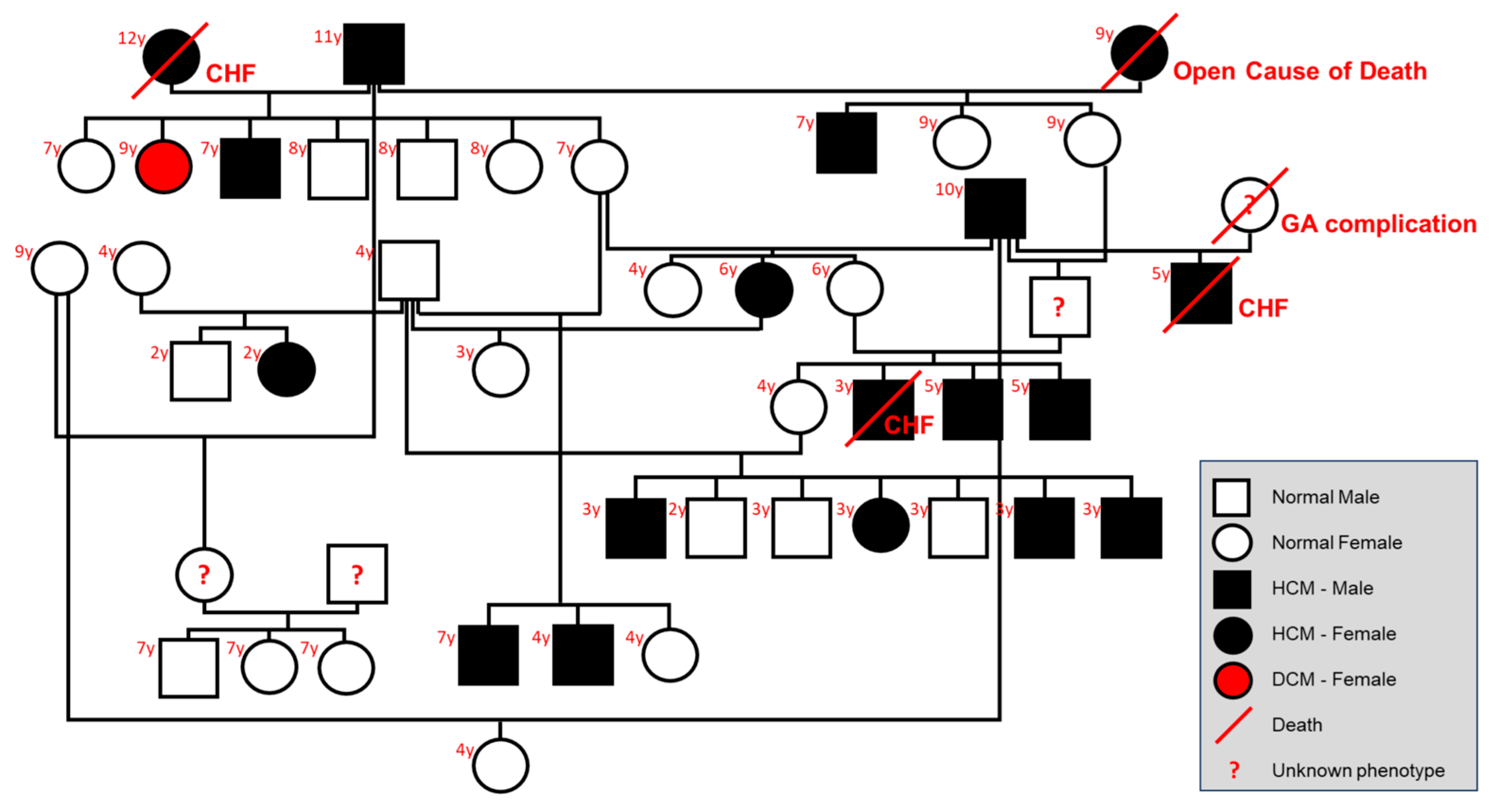 Animals 14 02629 g006