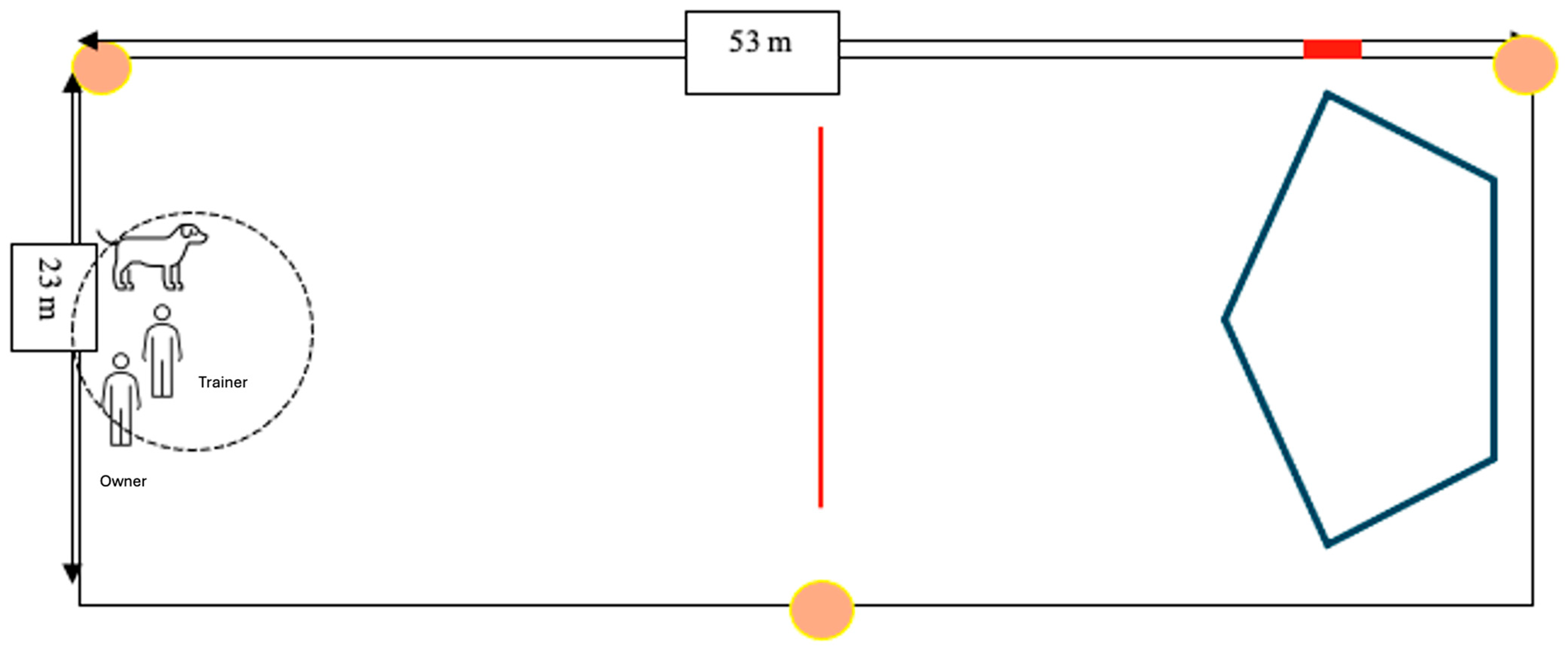 Animals 14 02632 g001