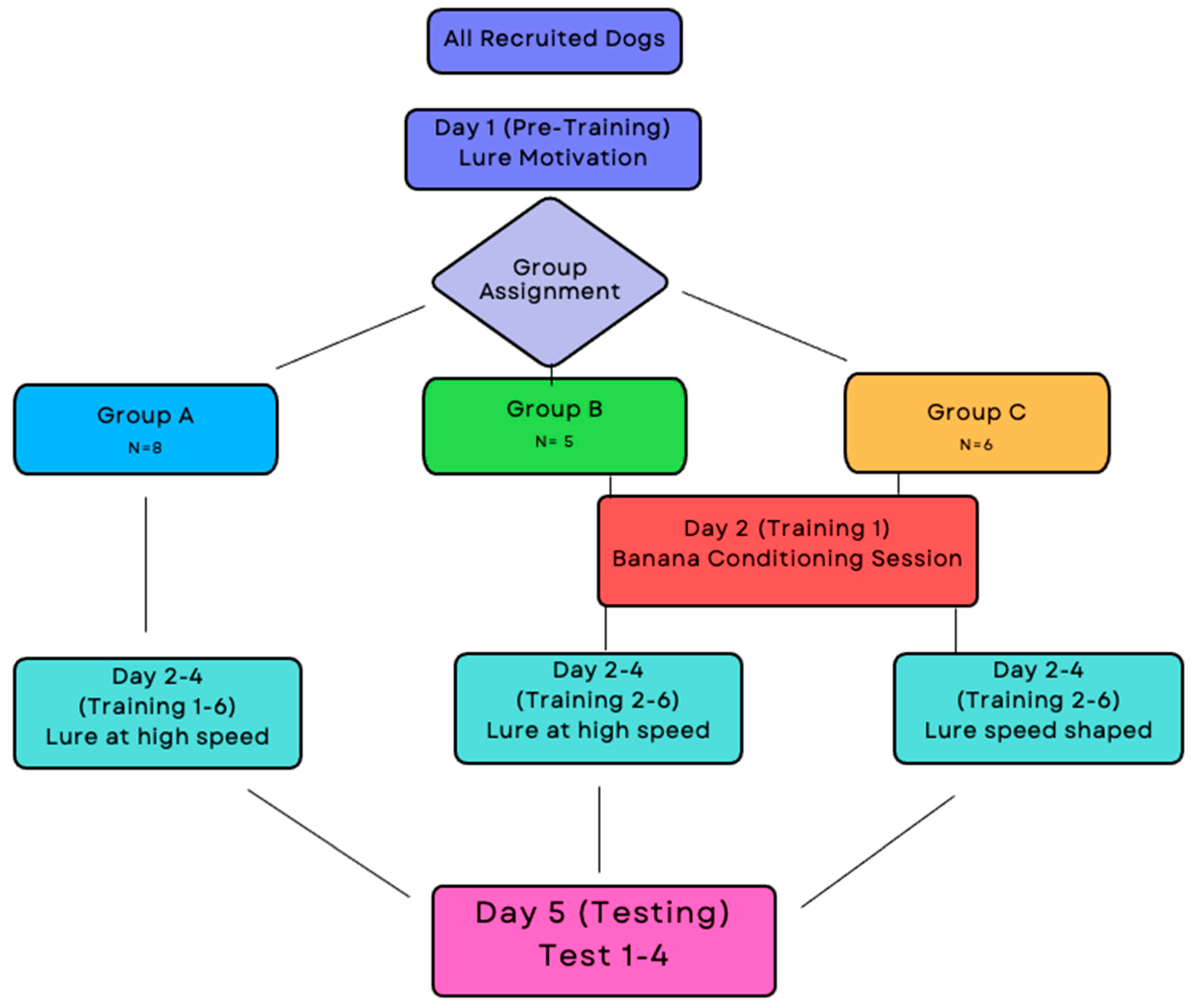 Animals 14 02632 g002