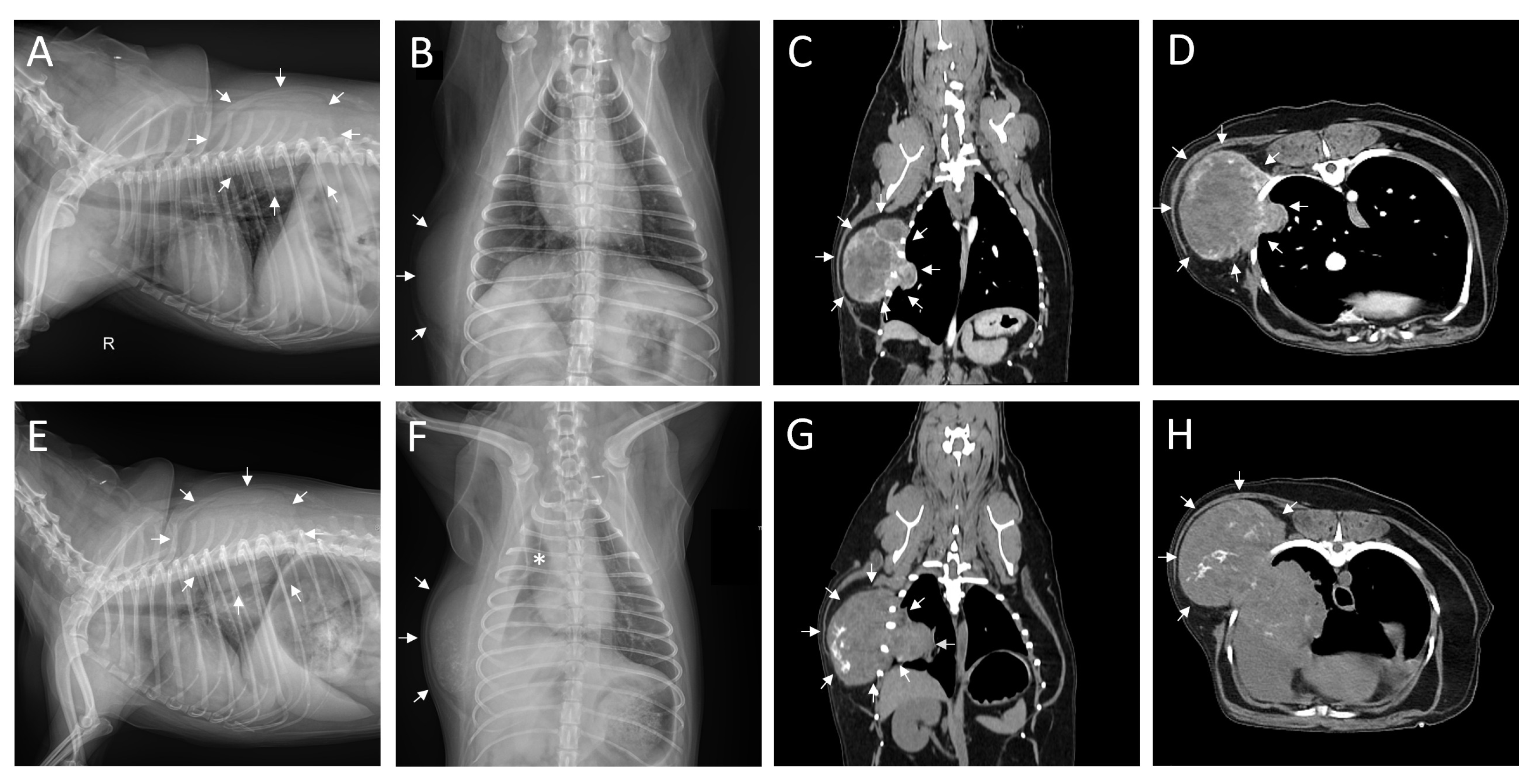 Animals 14 02635 g001 Animals 14 02635 g001