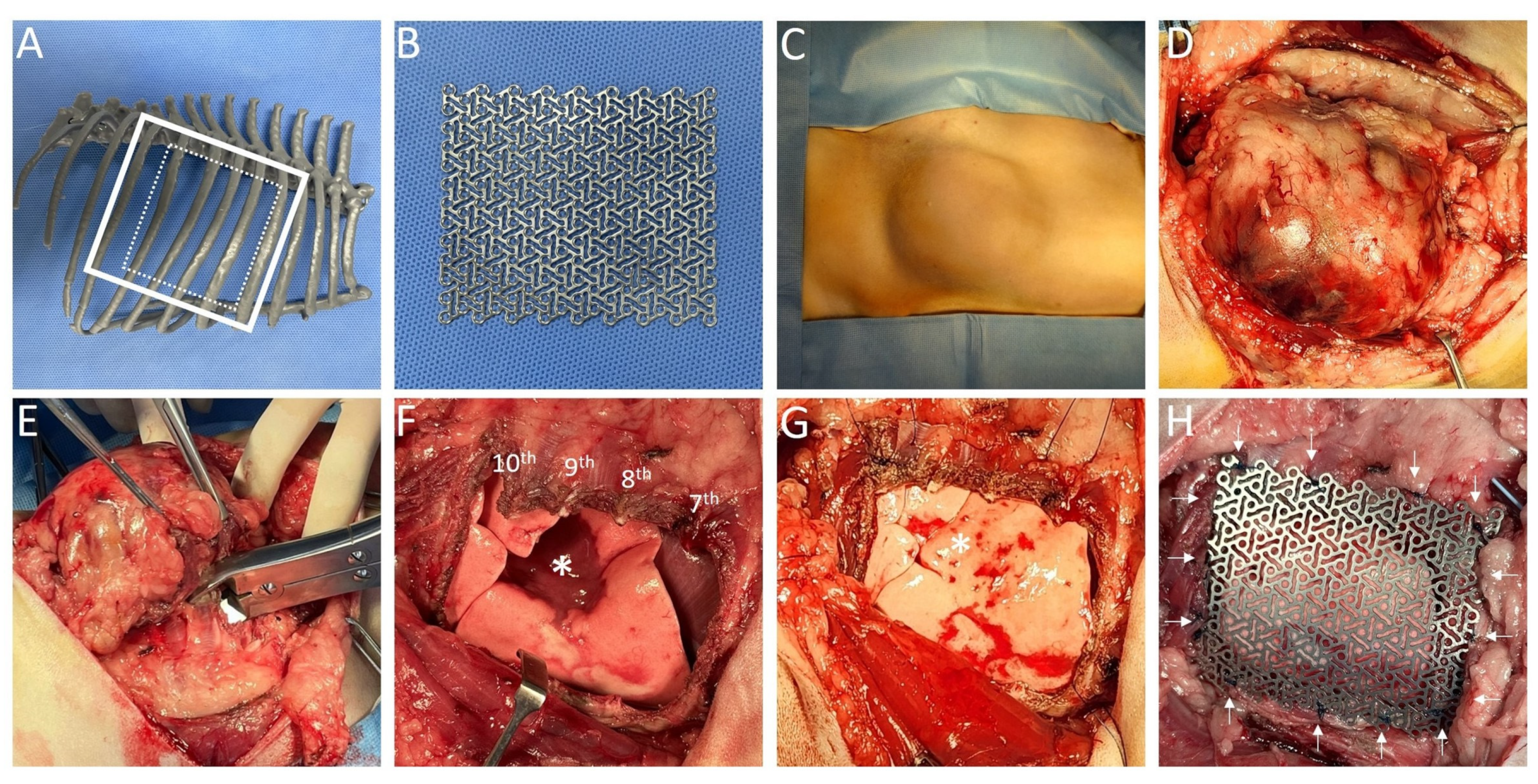 Animals 14 02635 g002 Animals 14 02635 g002