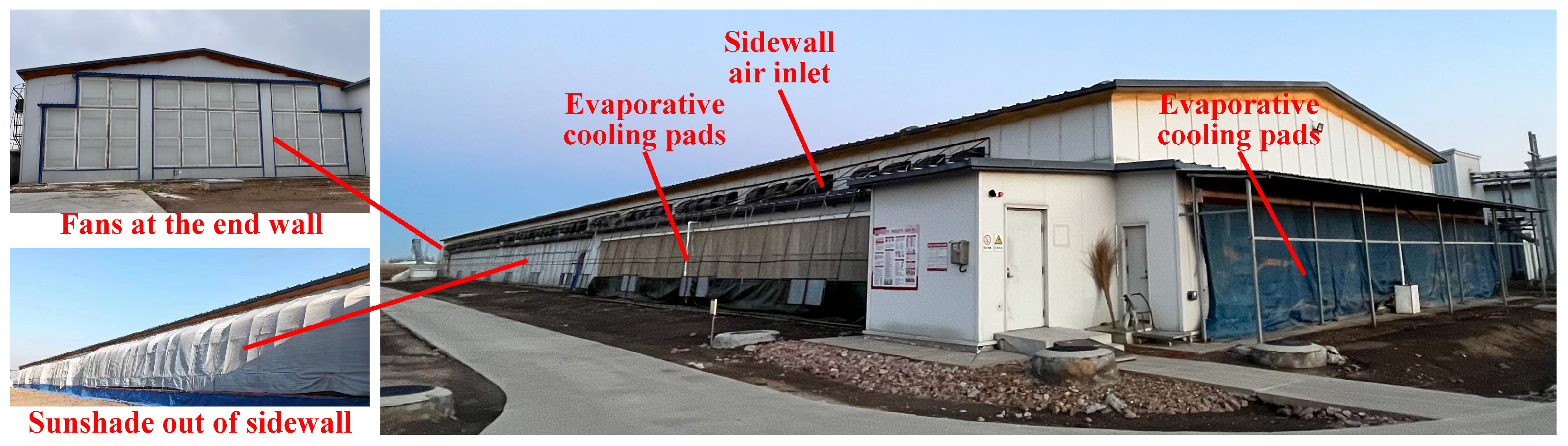 Animals 14 02638 g002 Animals 14 02638 g002