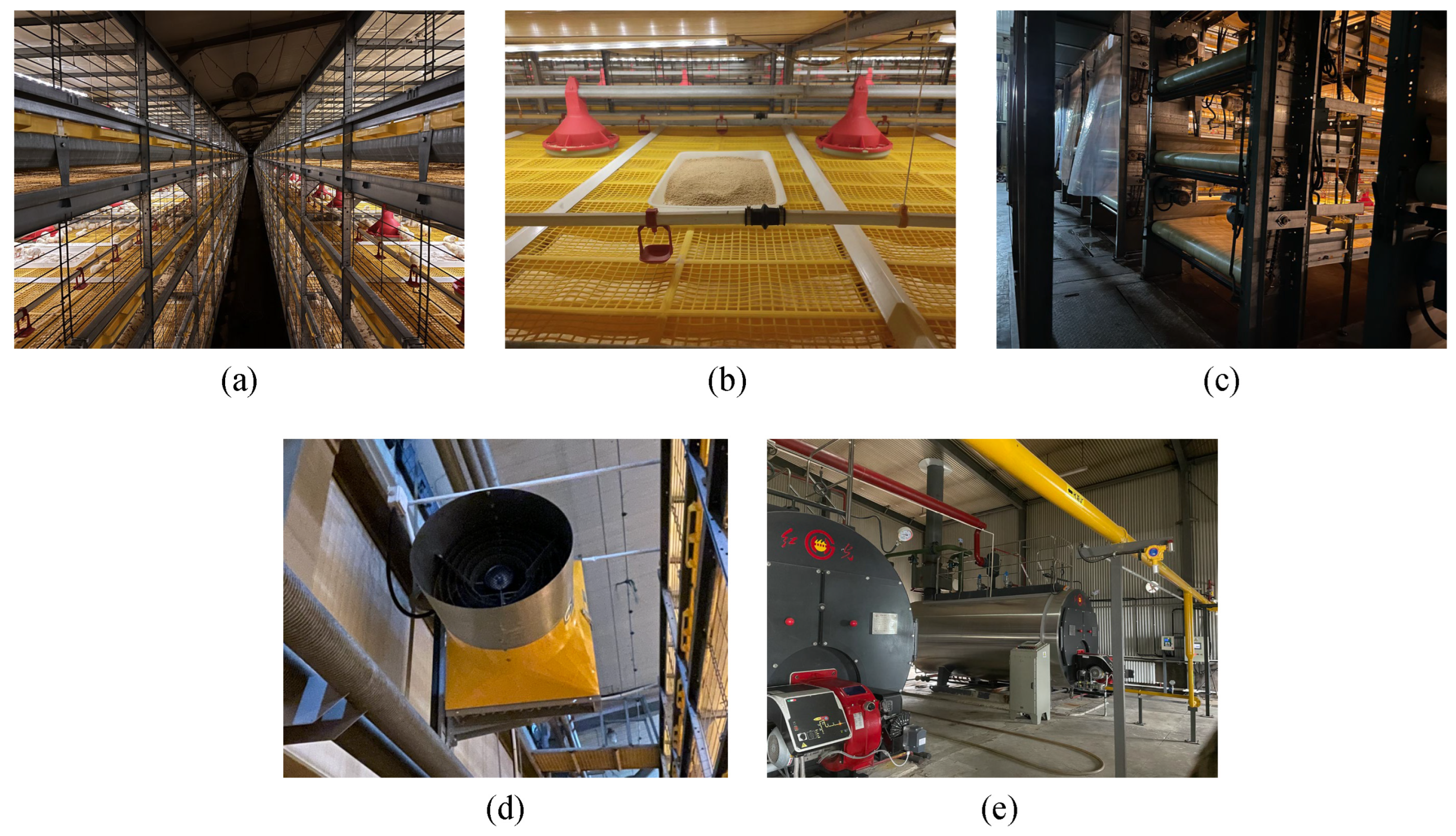 Animals 14 02638 g003 Animals 14 02638 g003