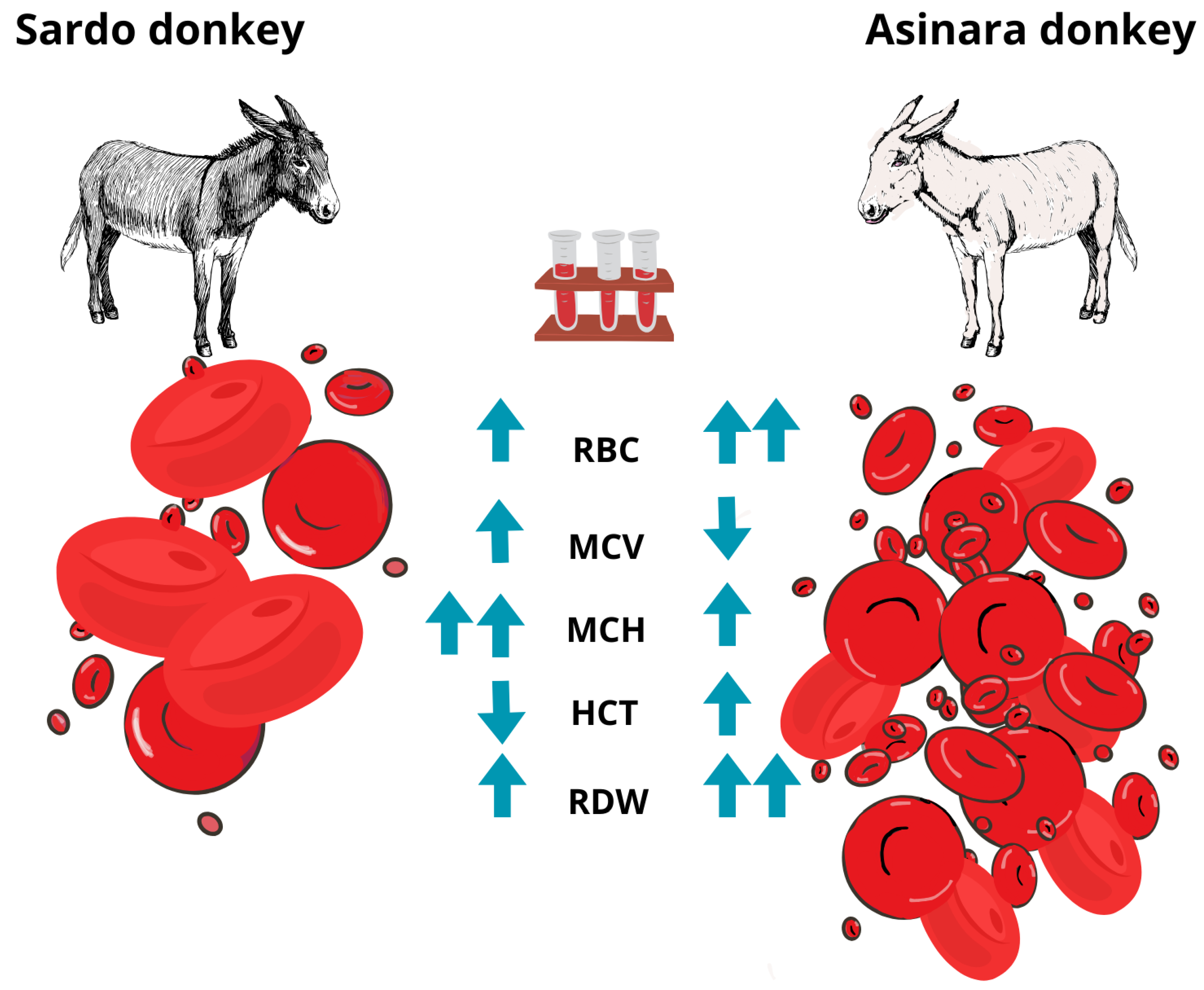 Animals 14 02641 g002