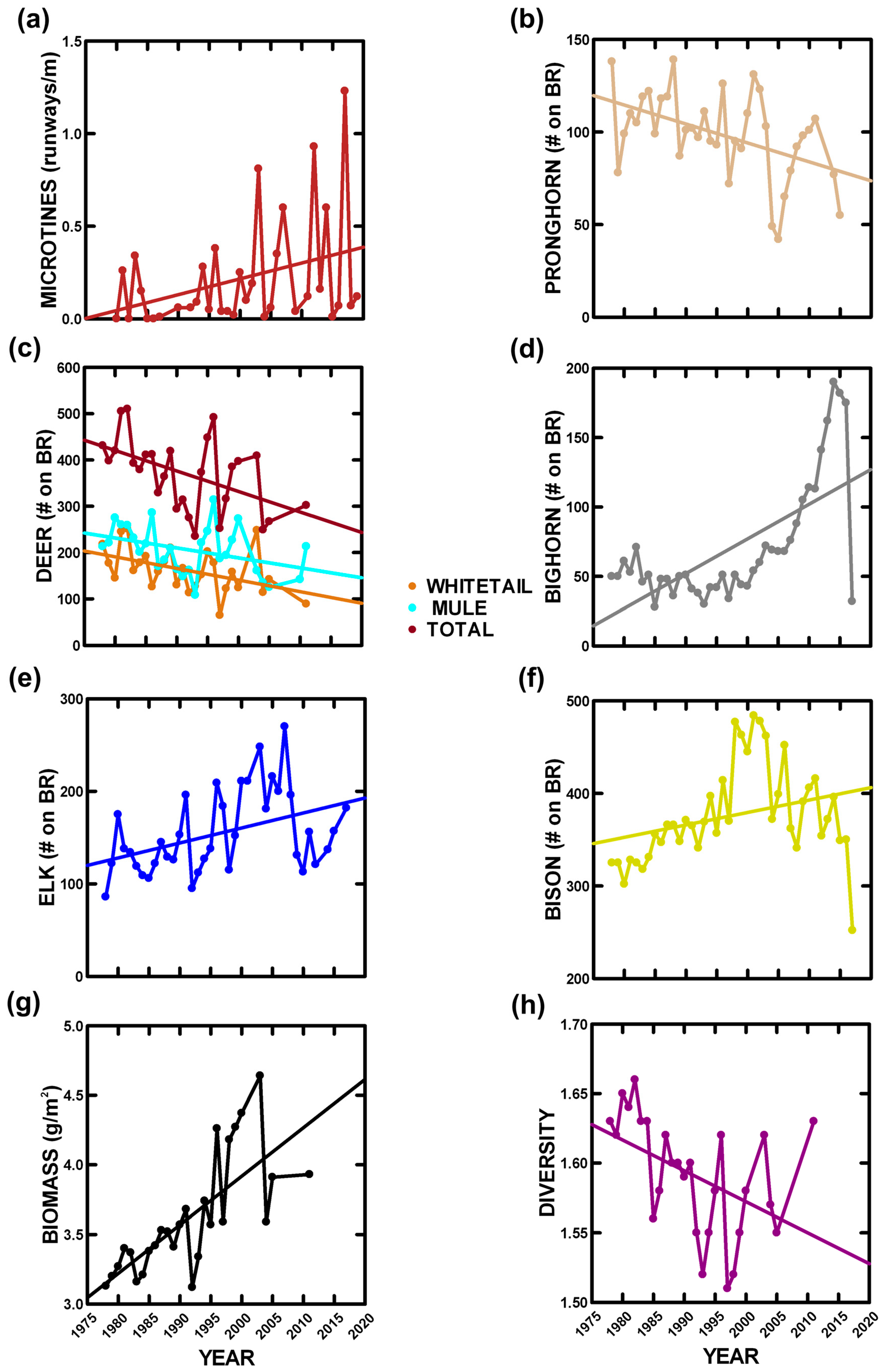 Animals 14 02647 g003 Animals 14 02647 g003