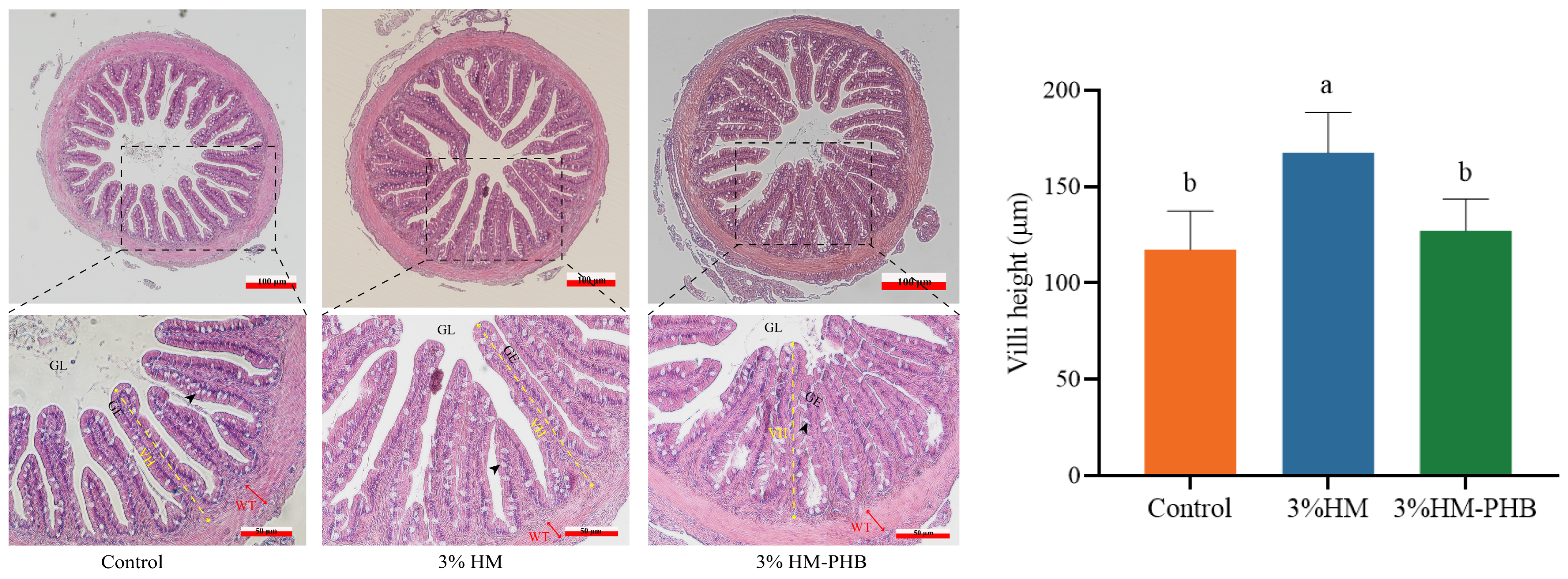 Animals 14 02649 g001
