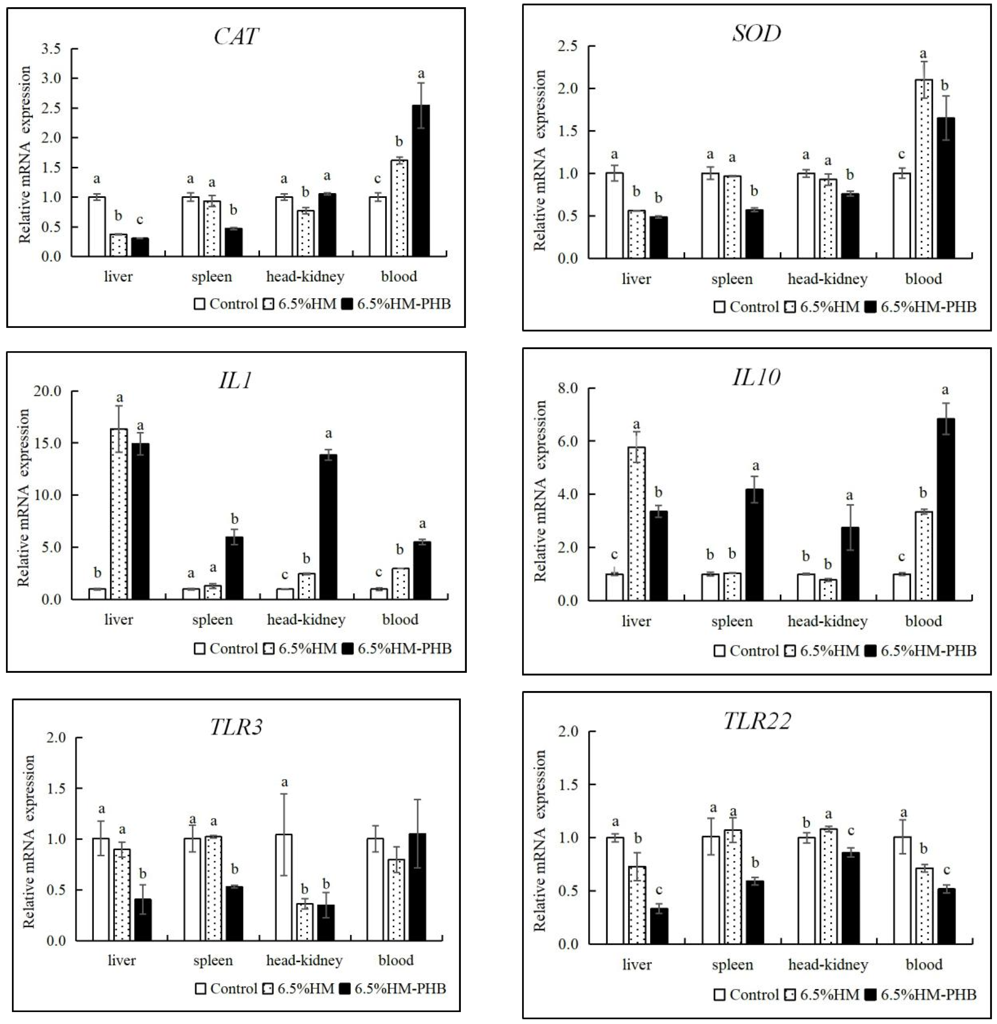 Animals 14 02649 g003