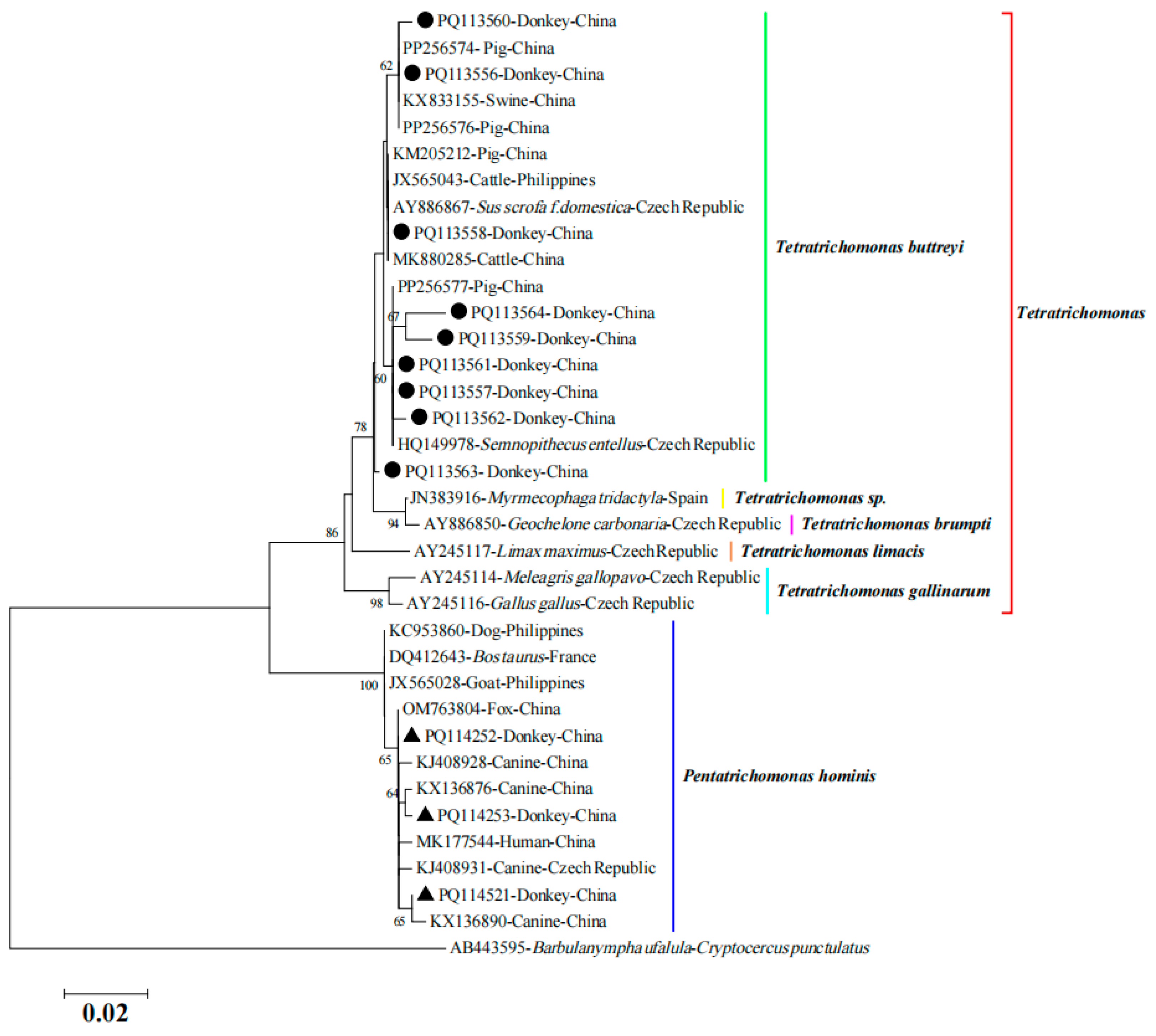 Animals 14 02651 g001