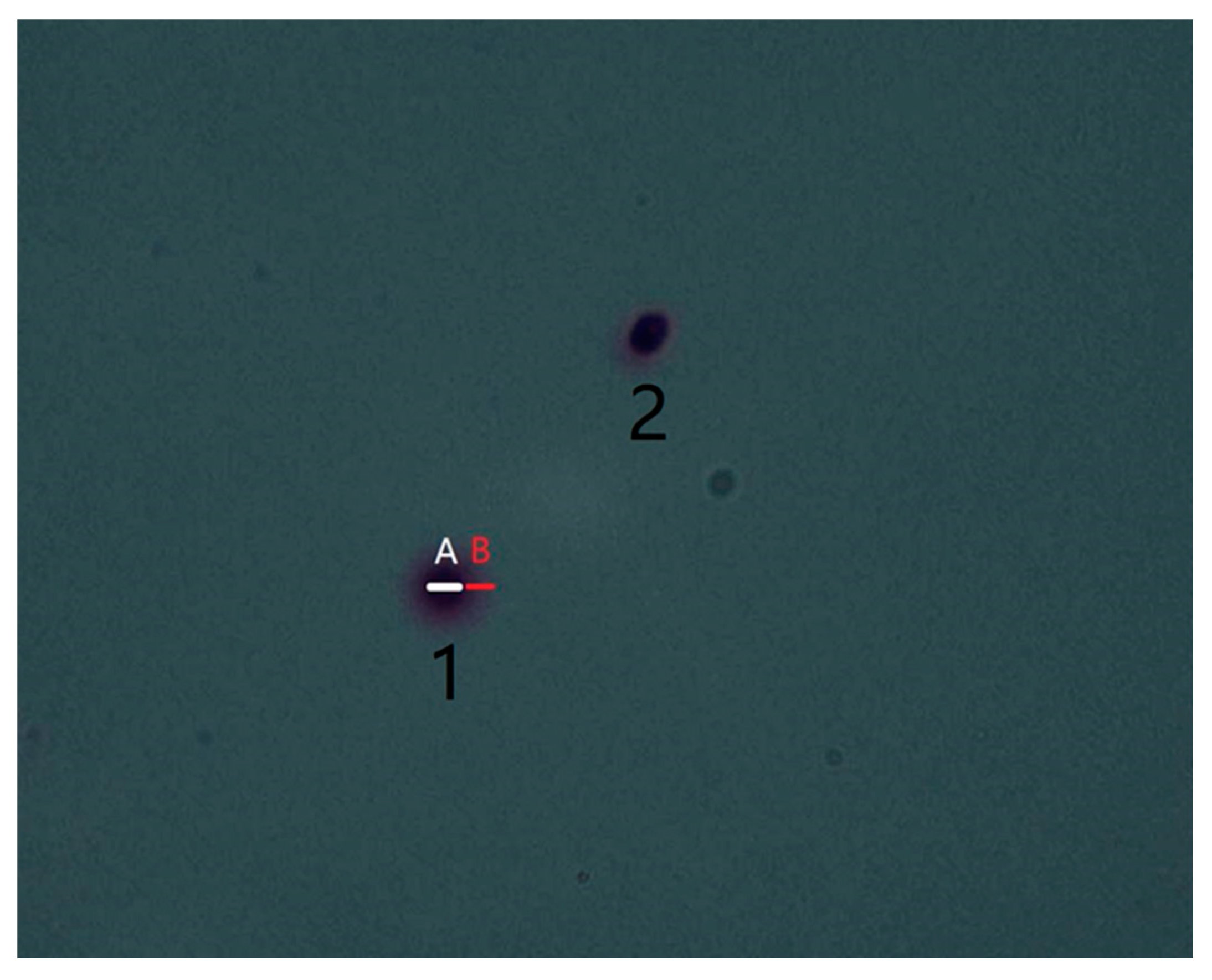 Animals 14 02652 g001 Animals 14 02652 g001