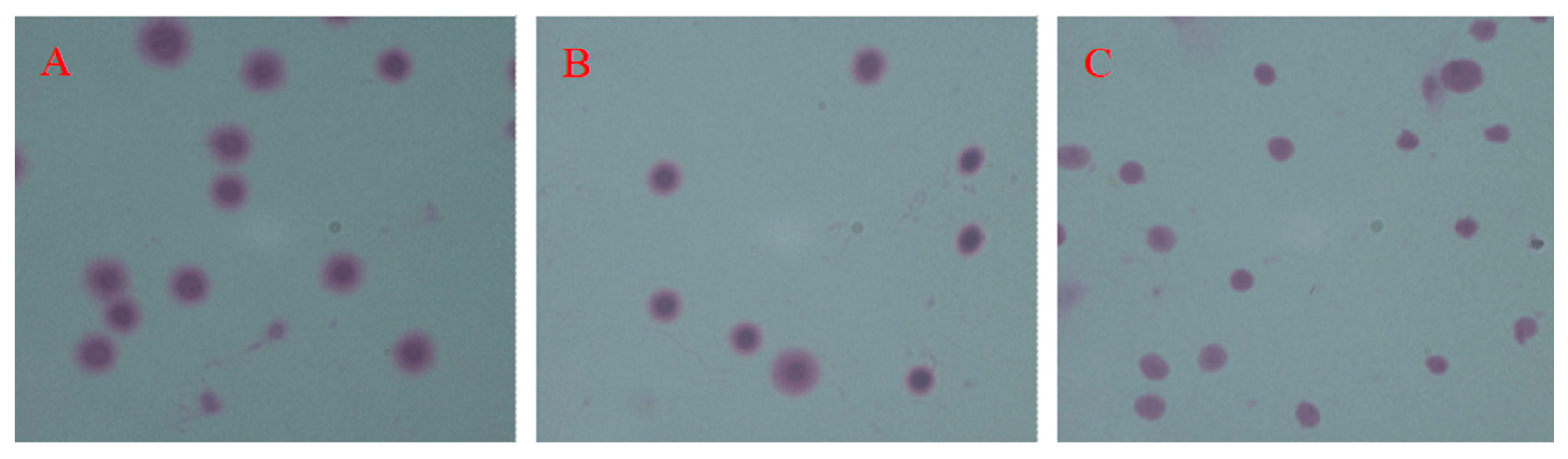 Animals 14 02652 g004 Animals 14 02652 g004