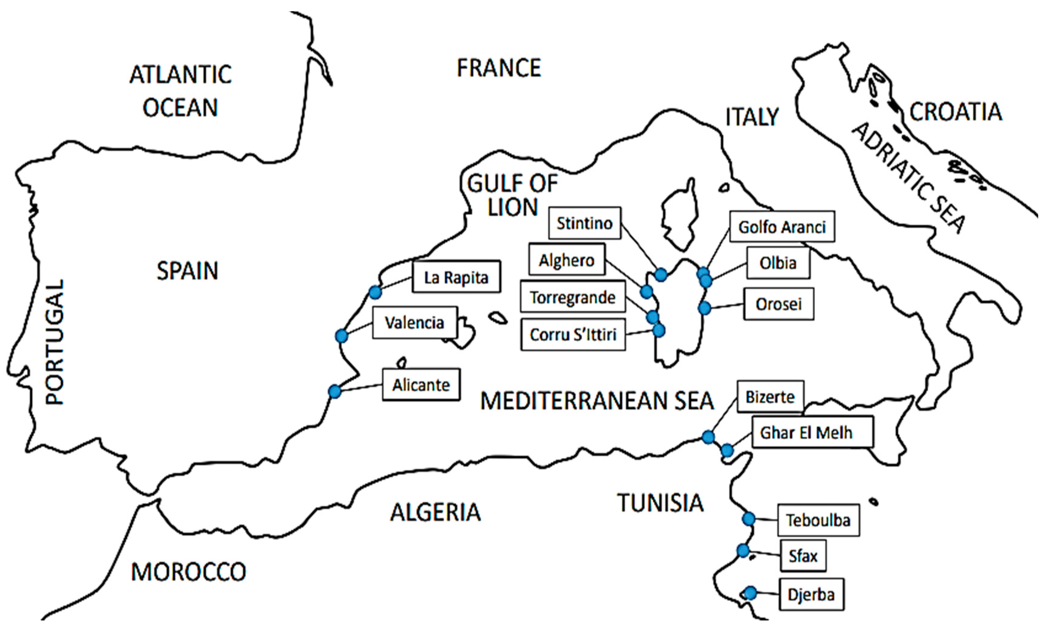 Animals 14 02653 g001 Animals 14 02653 g001