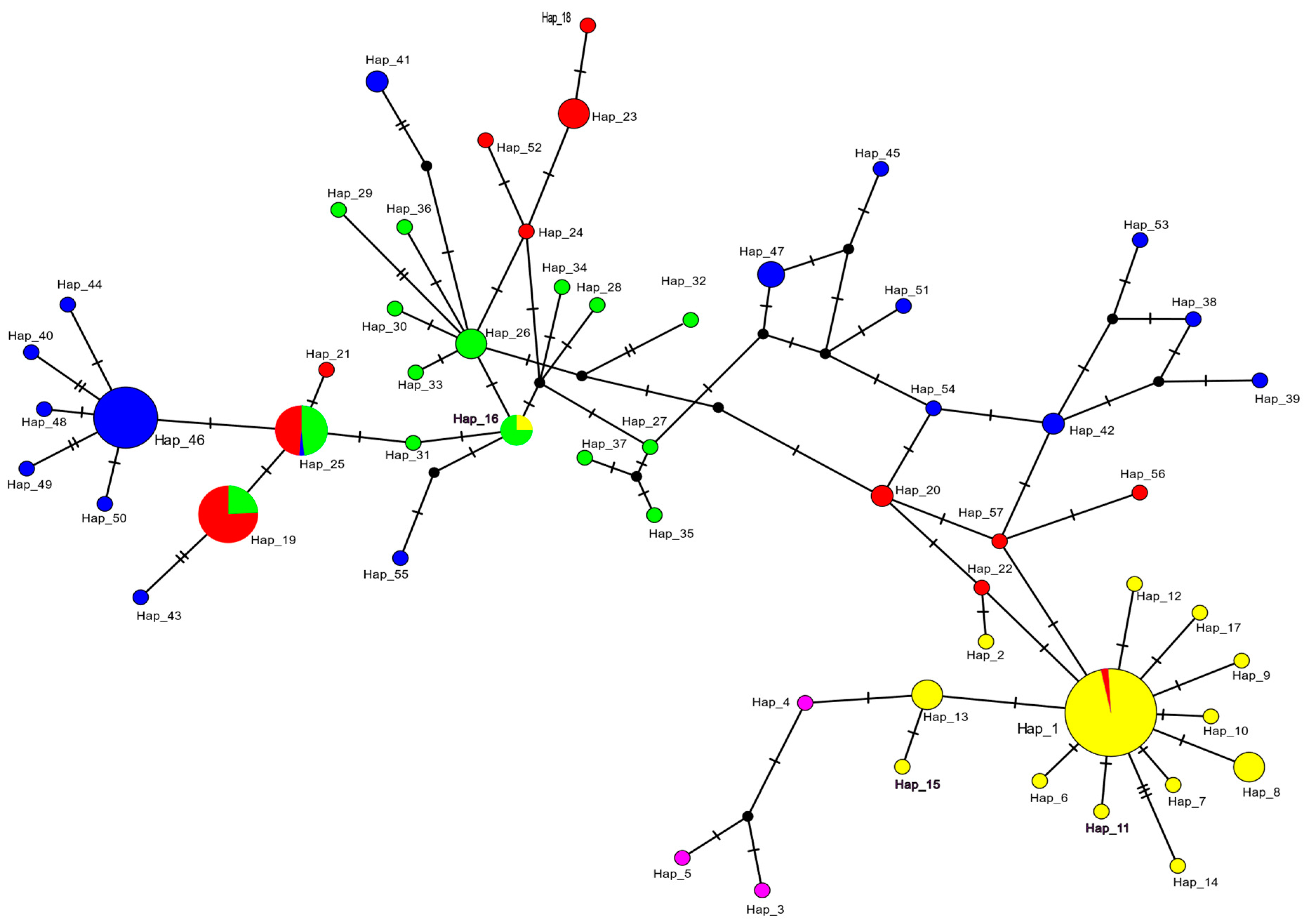 Animals 14 02653 g002 Animals 14 02653 g002