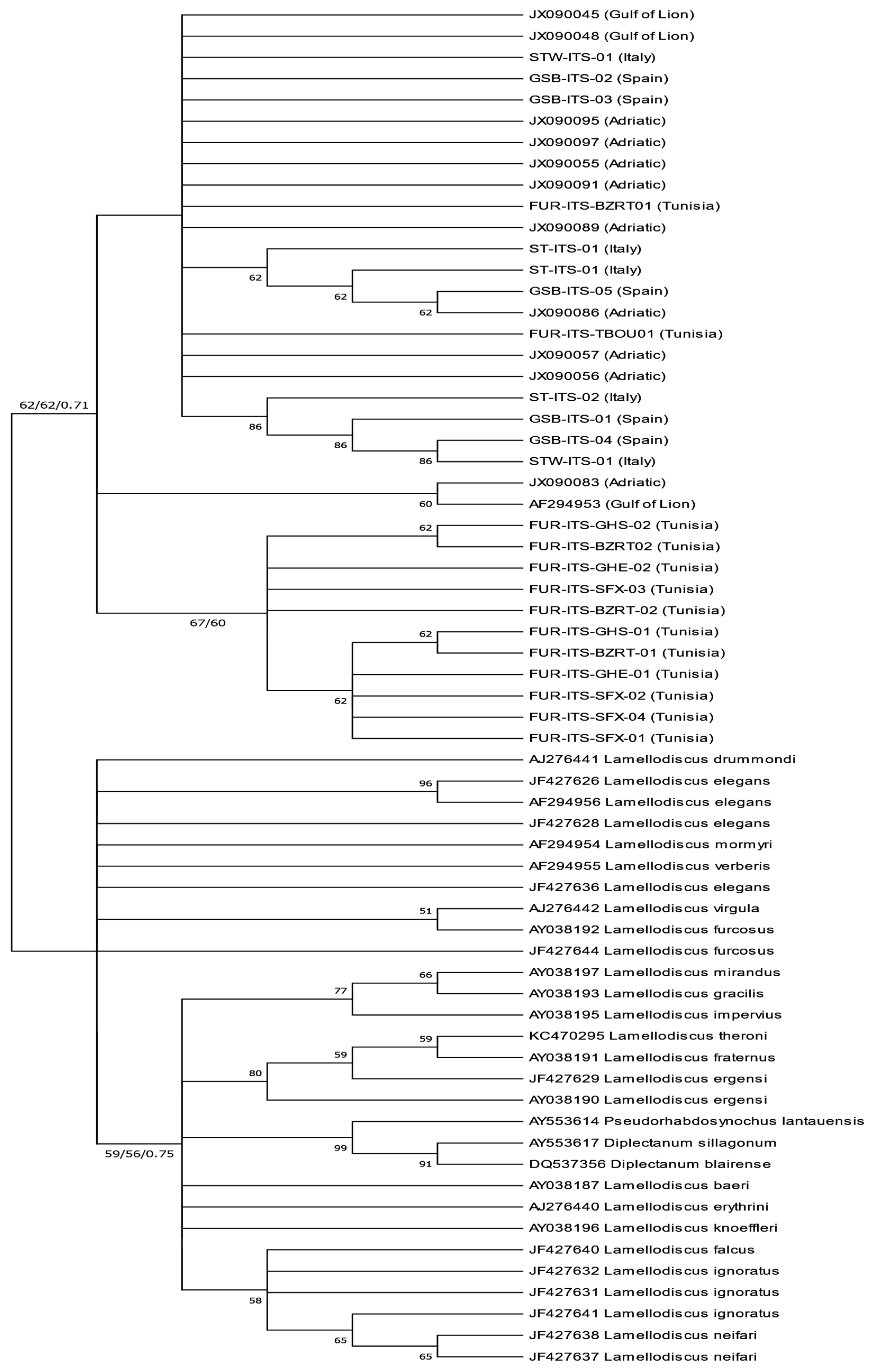 Animals 14 02653 g004 Animals 14 02653 g004