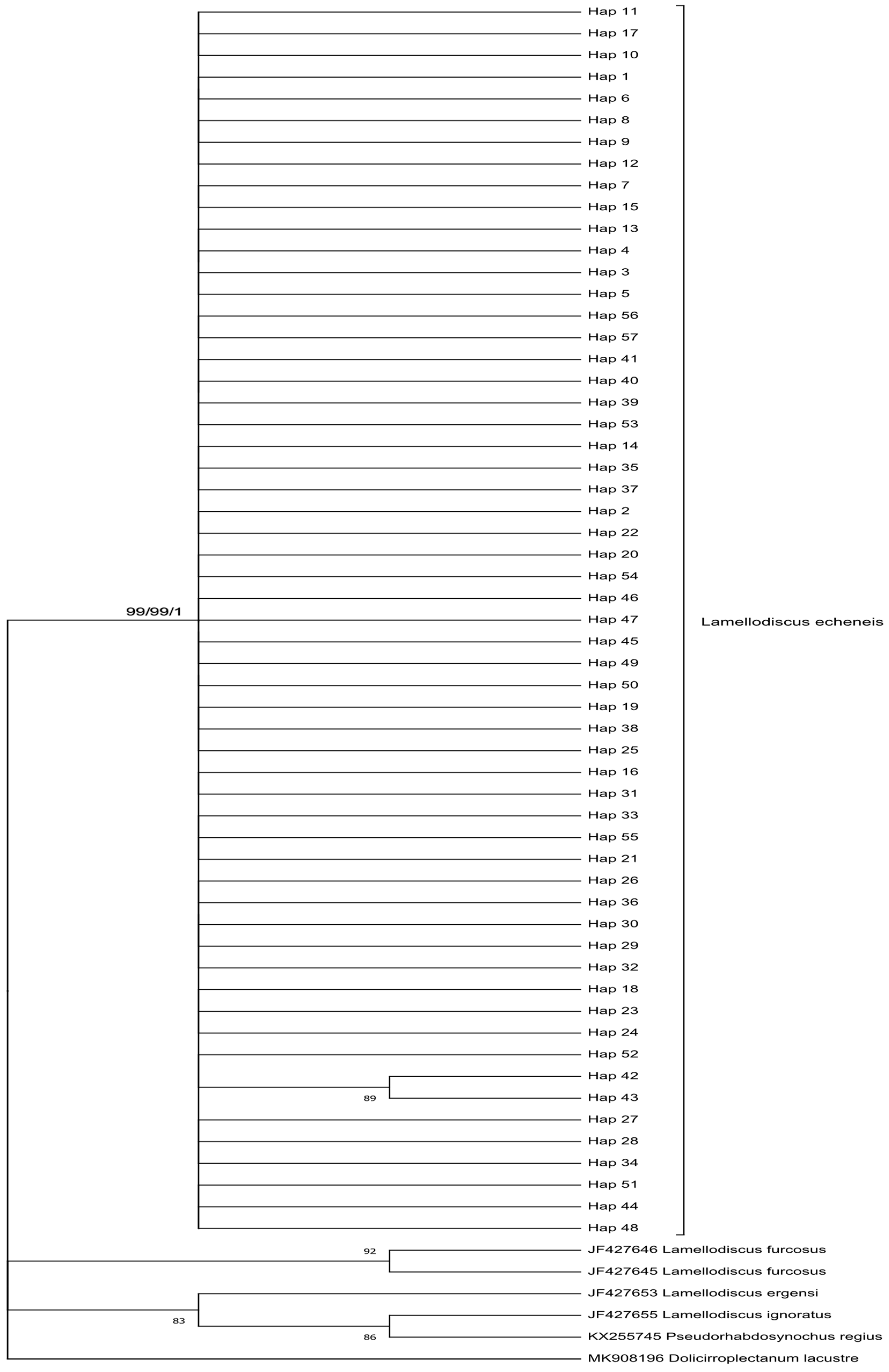 Animals 14 02653 g005 Animals 14 02653 g005