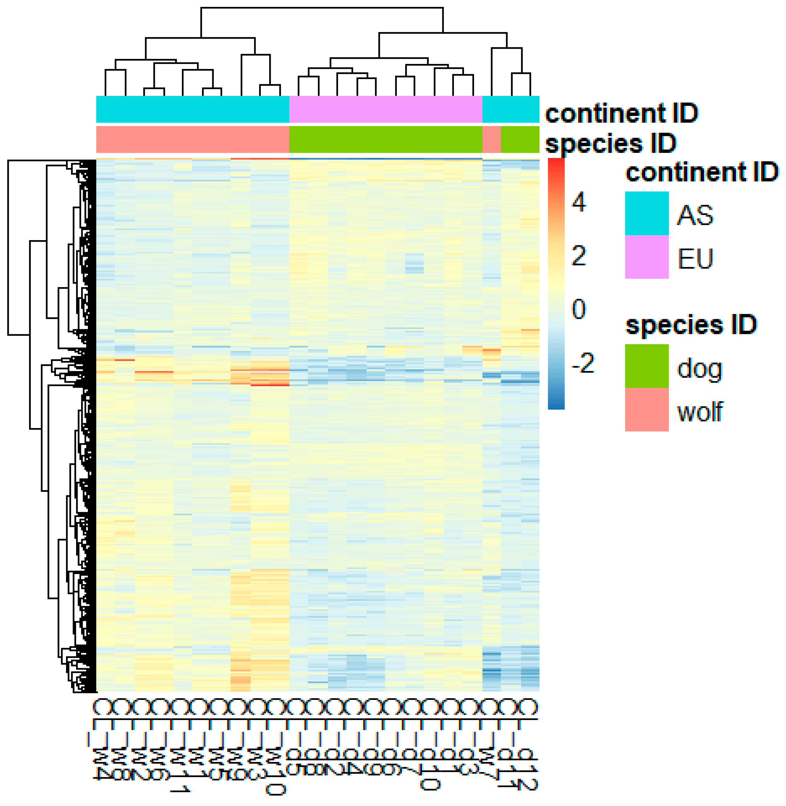 Animals 14 02655 g002