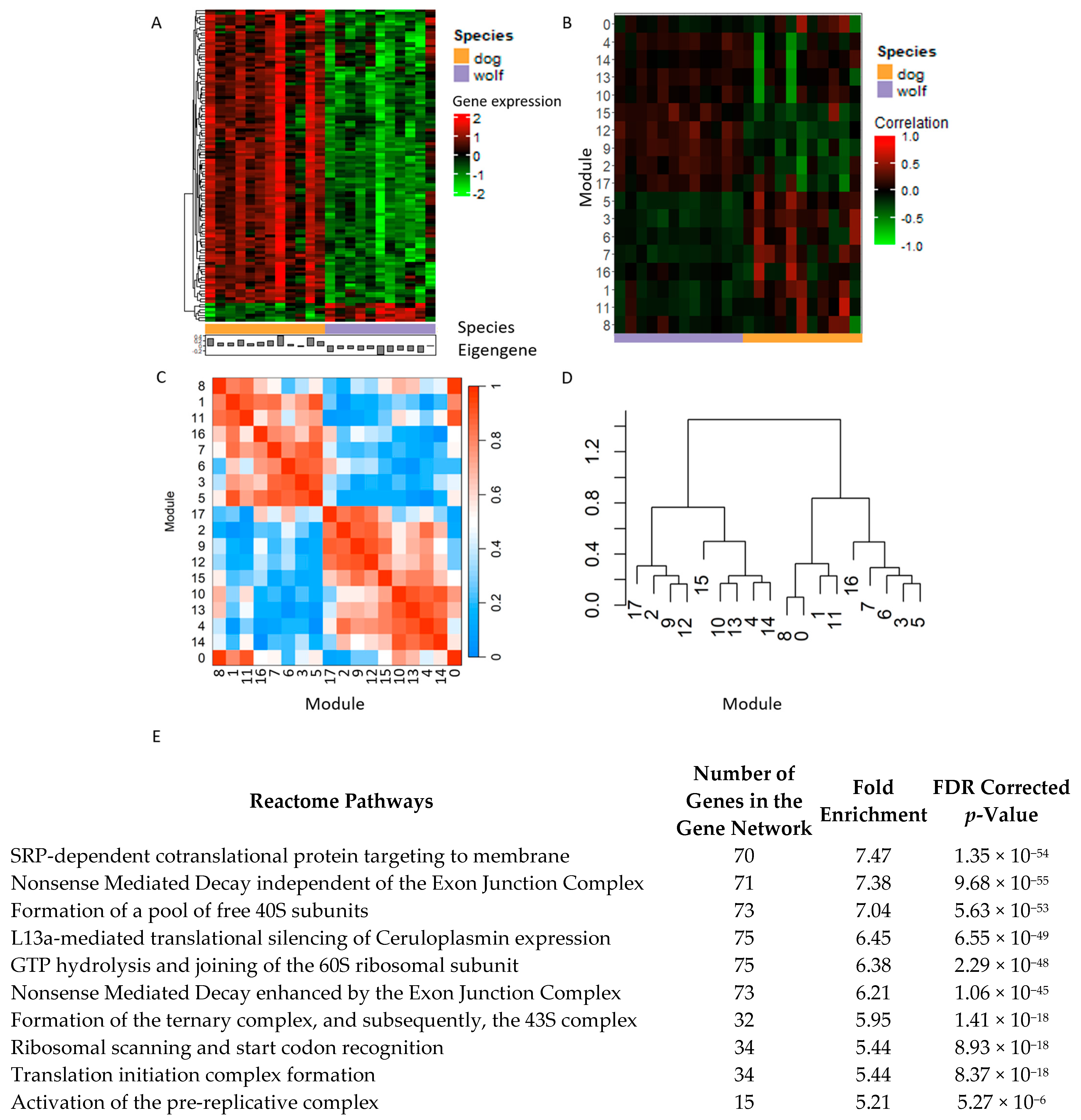 Animals 14 02655 g005
