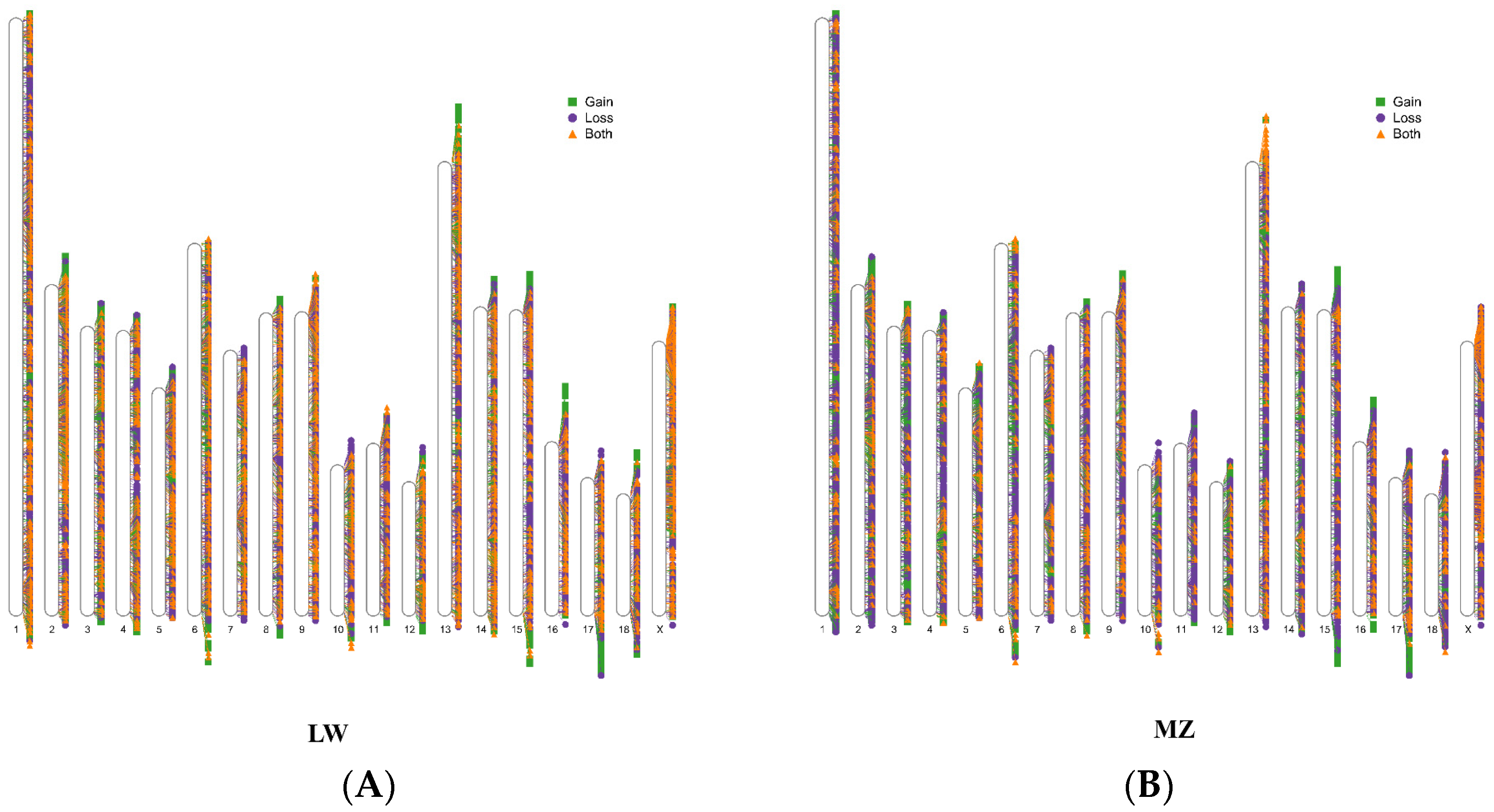 Animals 14 02657 g002 Animals 14 02657 g002