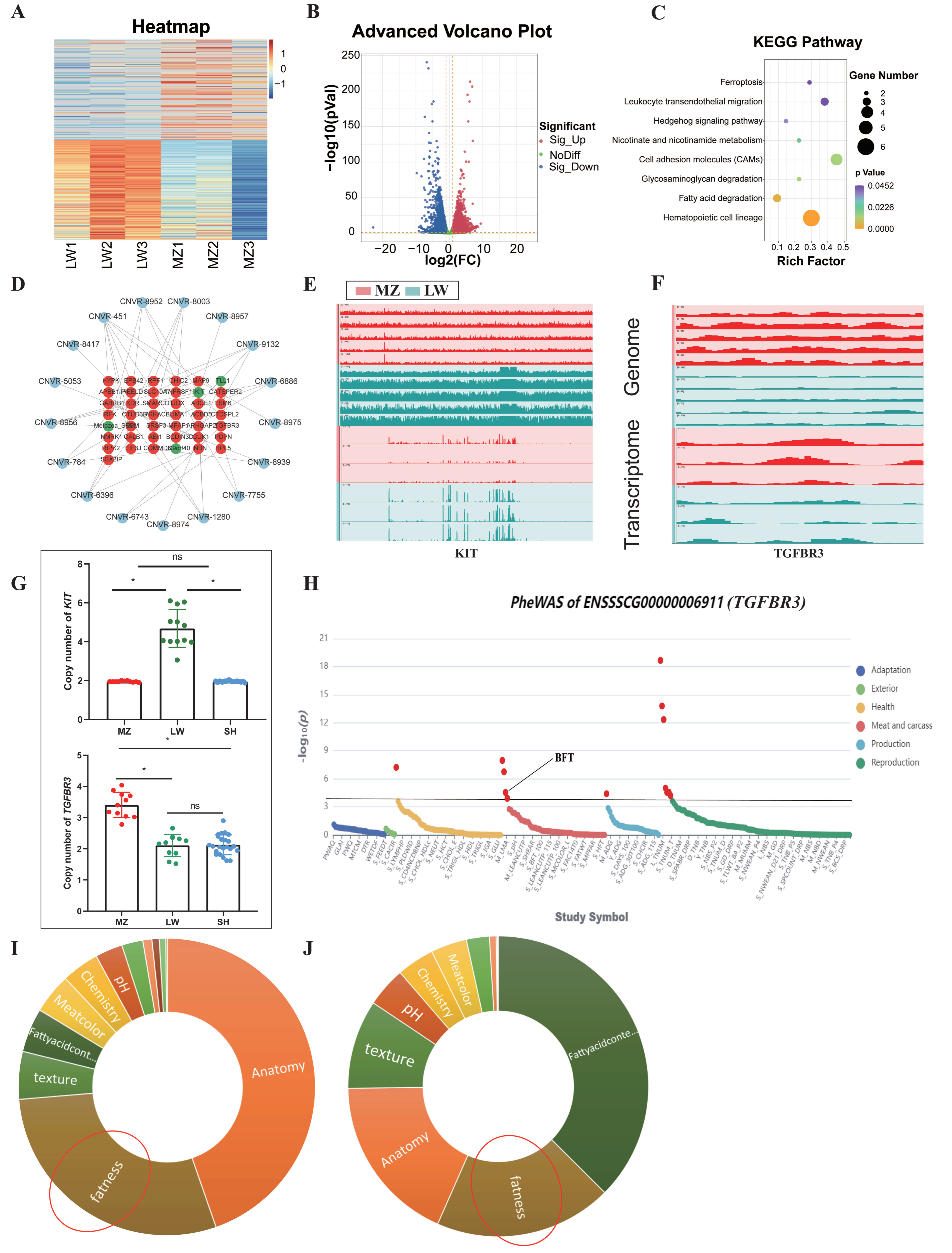 Animals 14 02657 g005 Animals 14 02657 g005