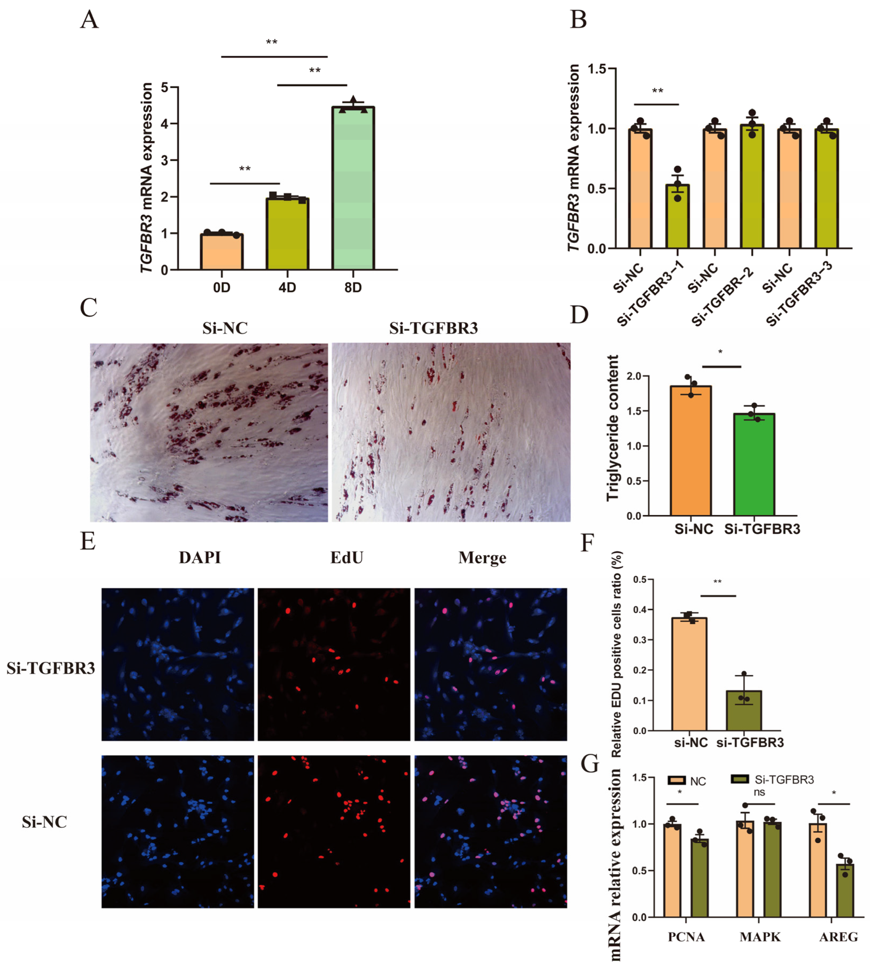 Animals 14 02657 g006 Animals 14 02657 g006