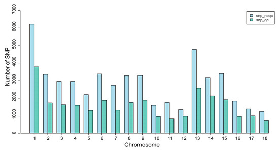 Analysis of the Genetic Diversity and Genetic Structure of