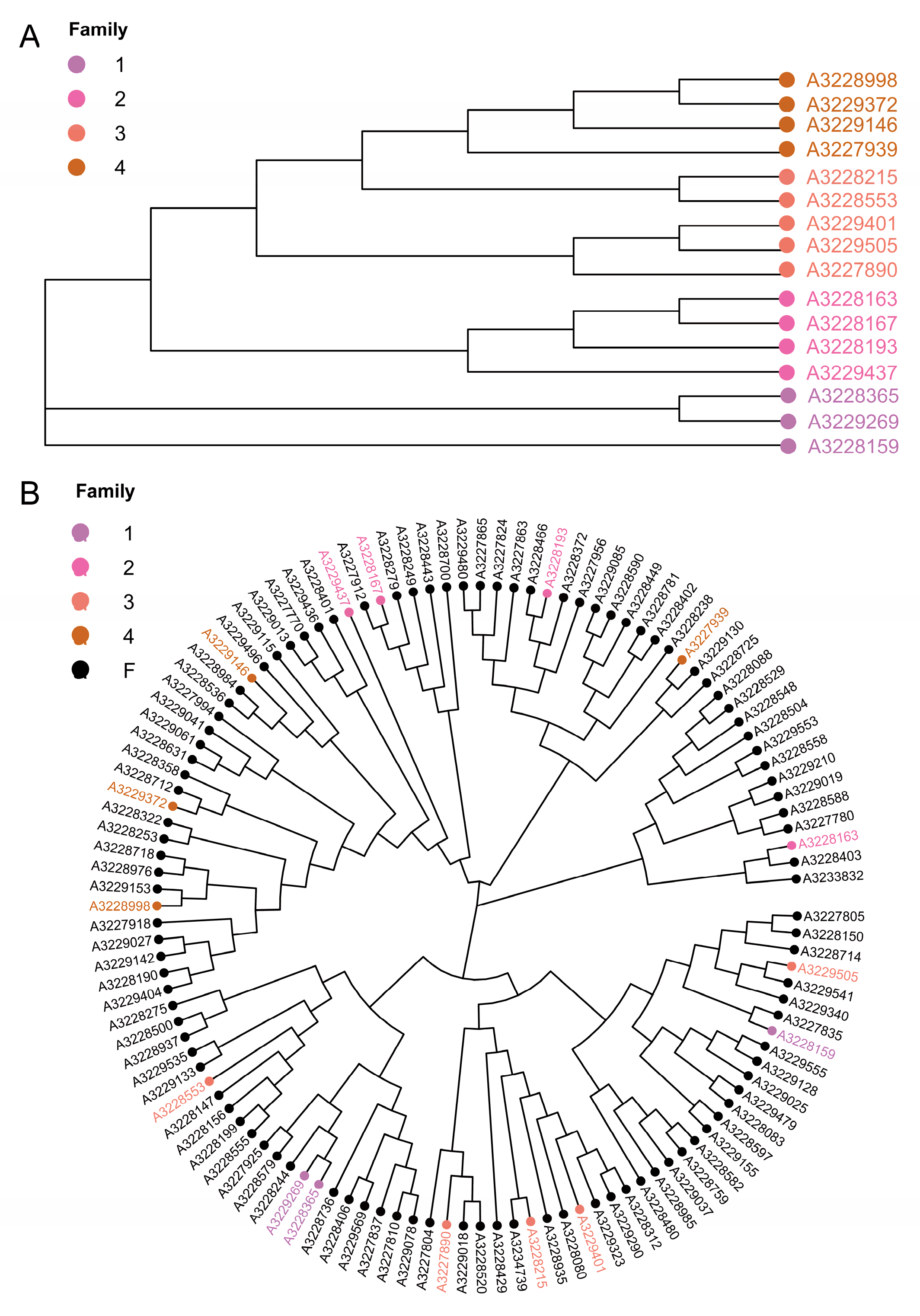 Animals 14 02660 g005